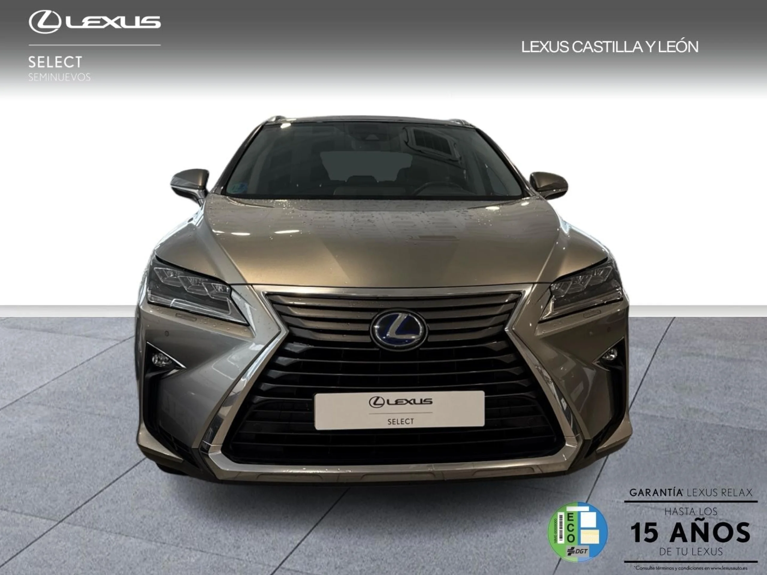 Lexus RX 450h EXECUTIVE TECHNO - Foto 2