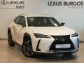 Thumbnail 1 del Lexus UX 250h UX250H PREMIUM 2WD