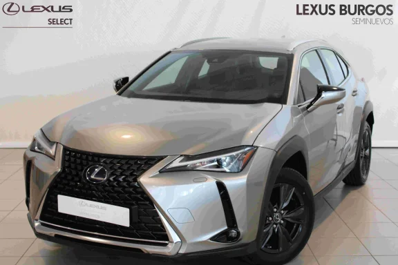 Lexus UX 250h Business Navigation 2WD