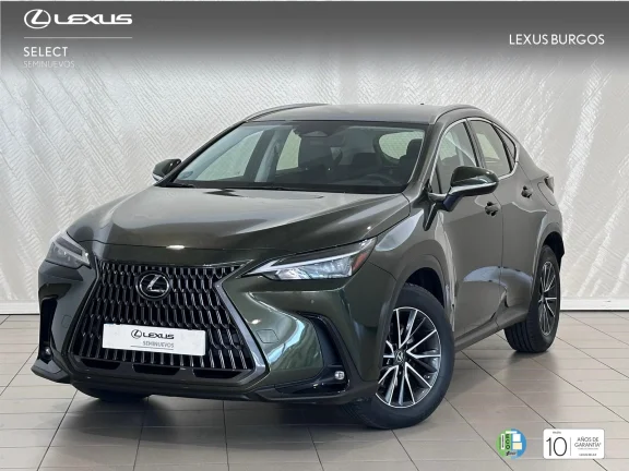 Lexus NX 450h+ + 4WD EXECUTIVE