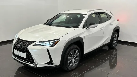 Lexus UX 300E BUSSINES
