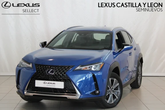 Lexus UX 300E Business