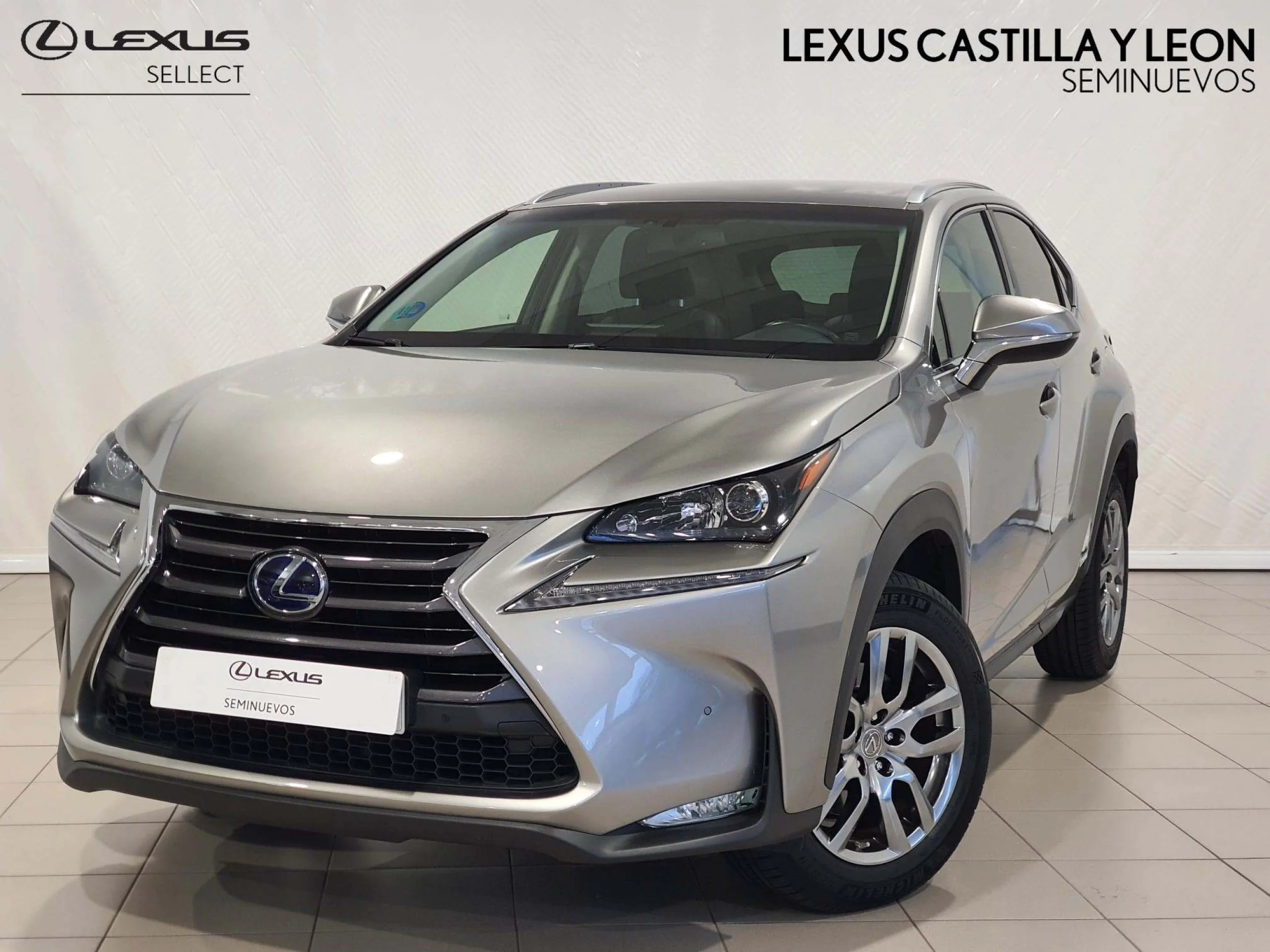 Lexus NX 300h NX300H EXECUTIVE 4WD - Foto 1