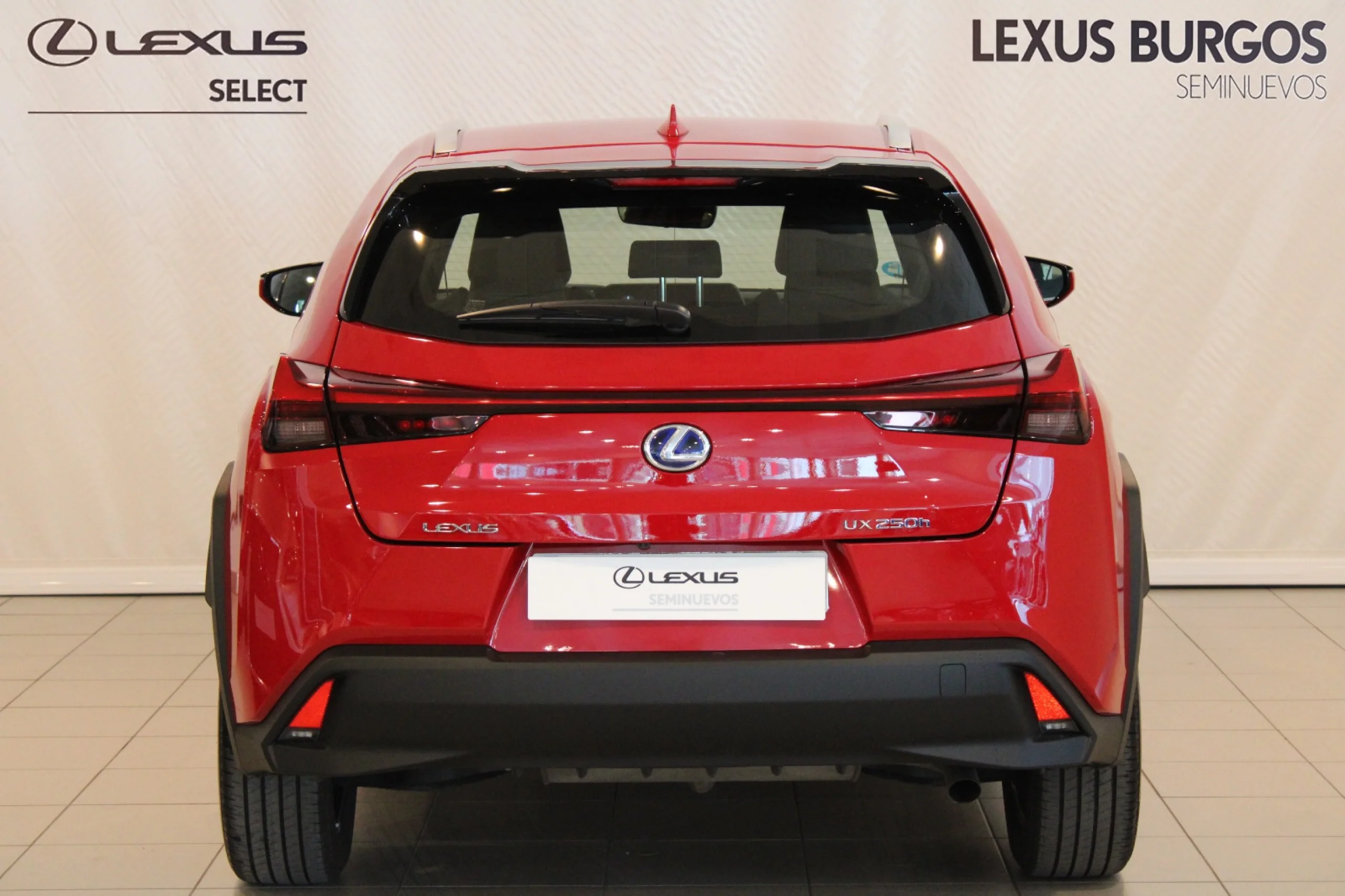 Lexus UX 250h UX250H BUSSINES 2WD + SENSORES - Foto 4