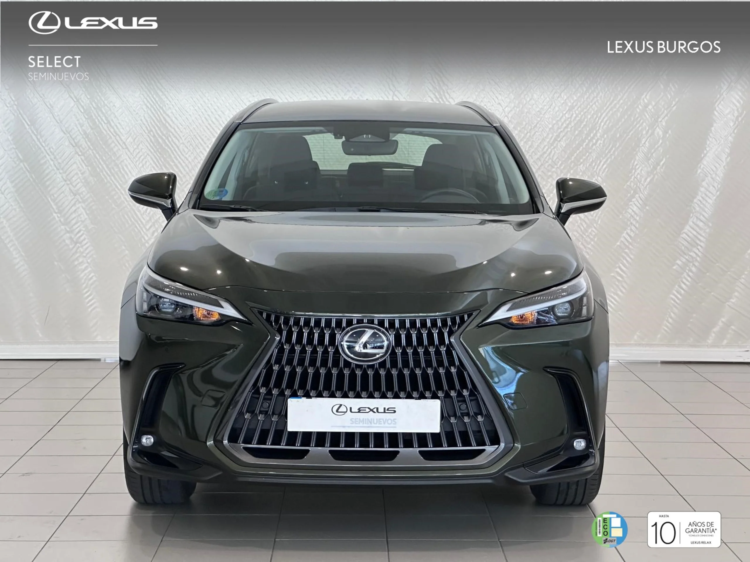 Lexus NX 450h+ + 4WD EXECUTIVE - Foto 2