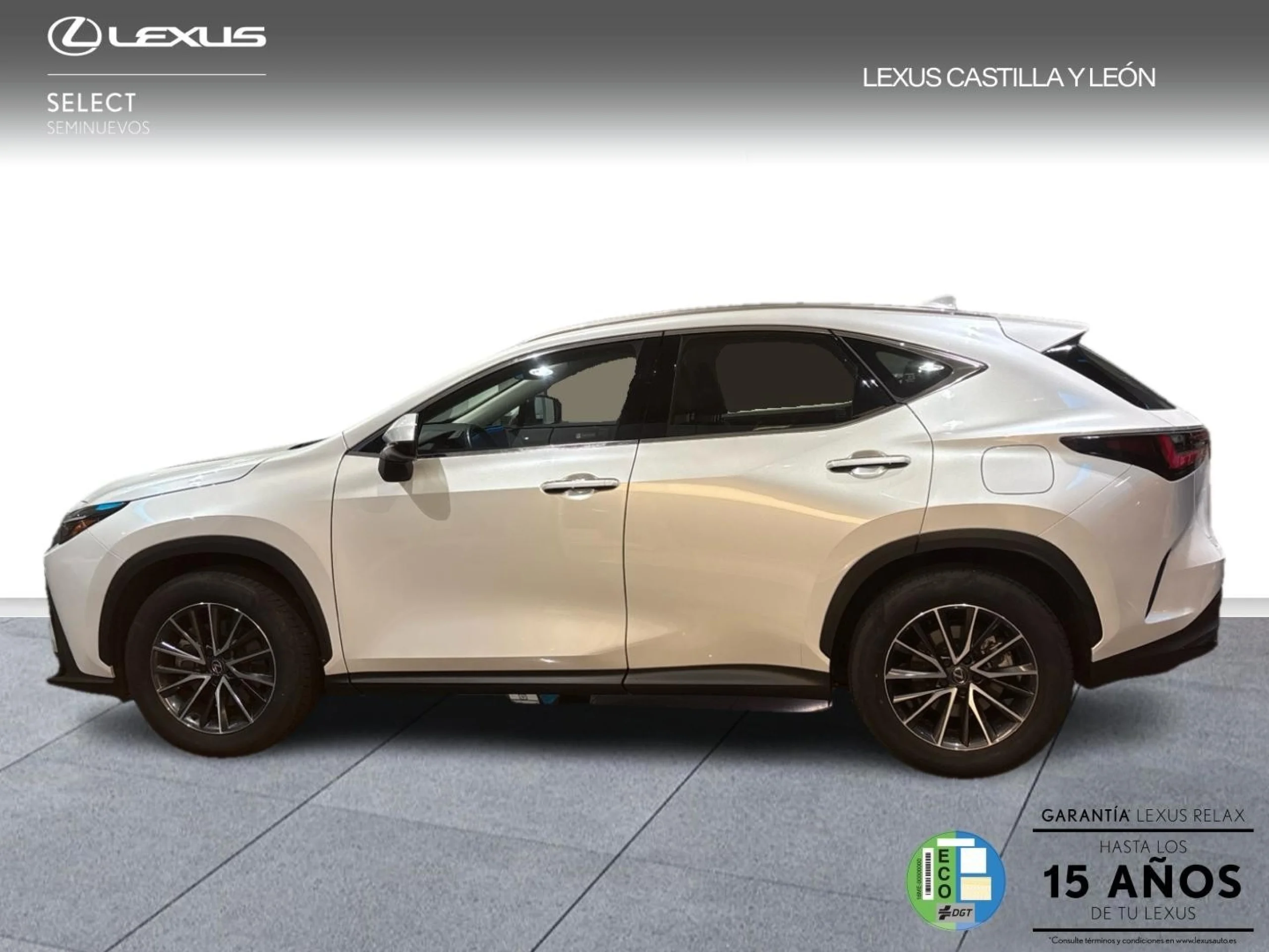 Lexus NX 350h NX350H PREMIUM PLUS - Foto 10