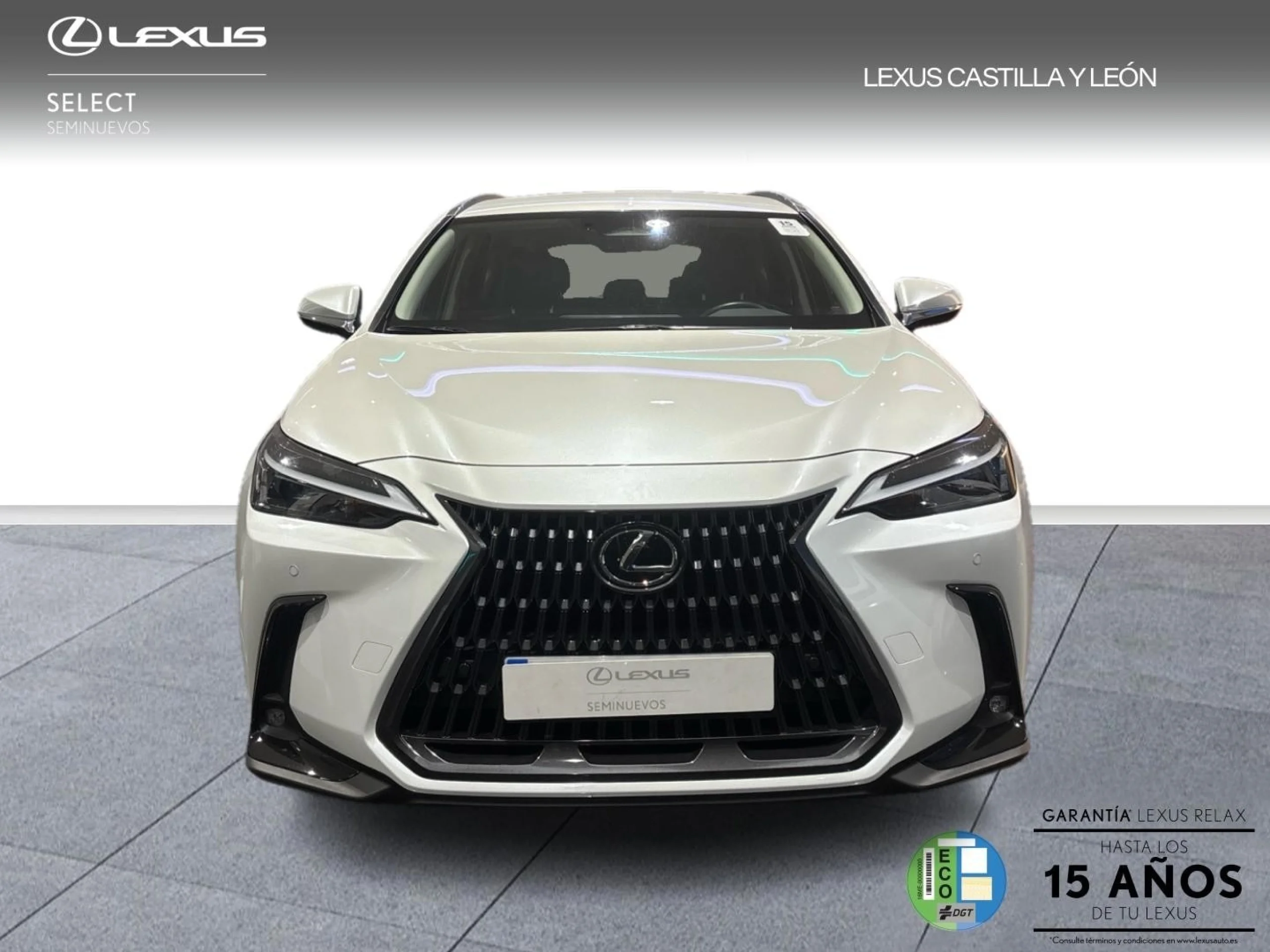 Lexus NX 350h NX350H PREMIUM PLUS - Foto 2