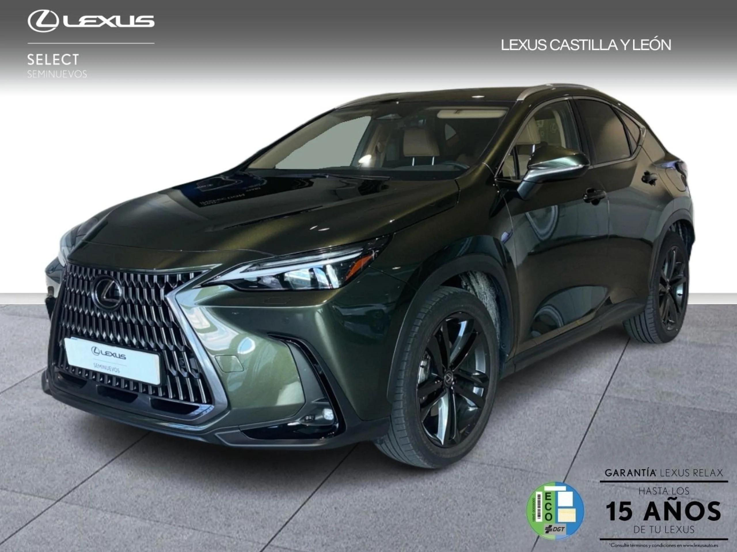Lexus NX 350h EXECUTIVE PLUS - Foto 1