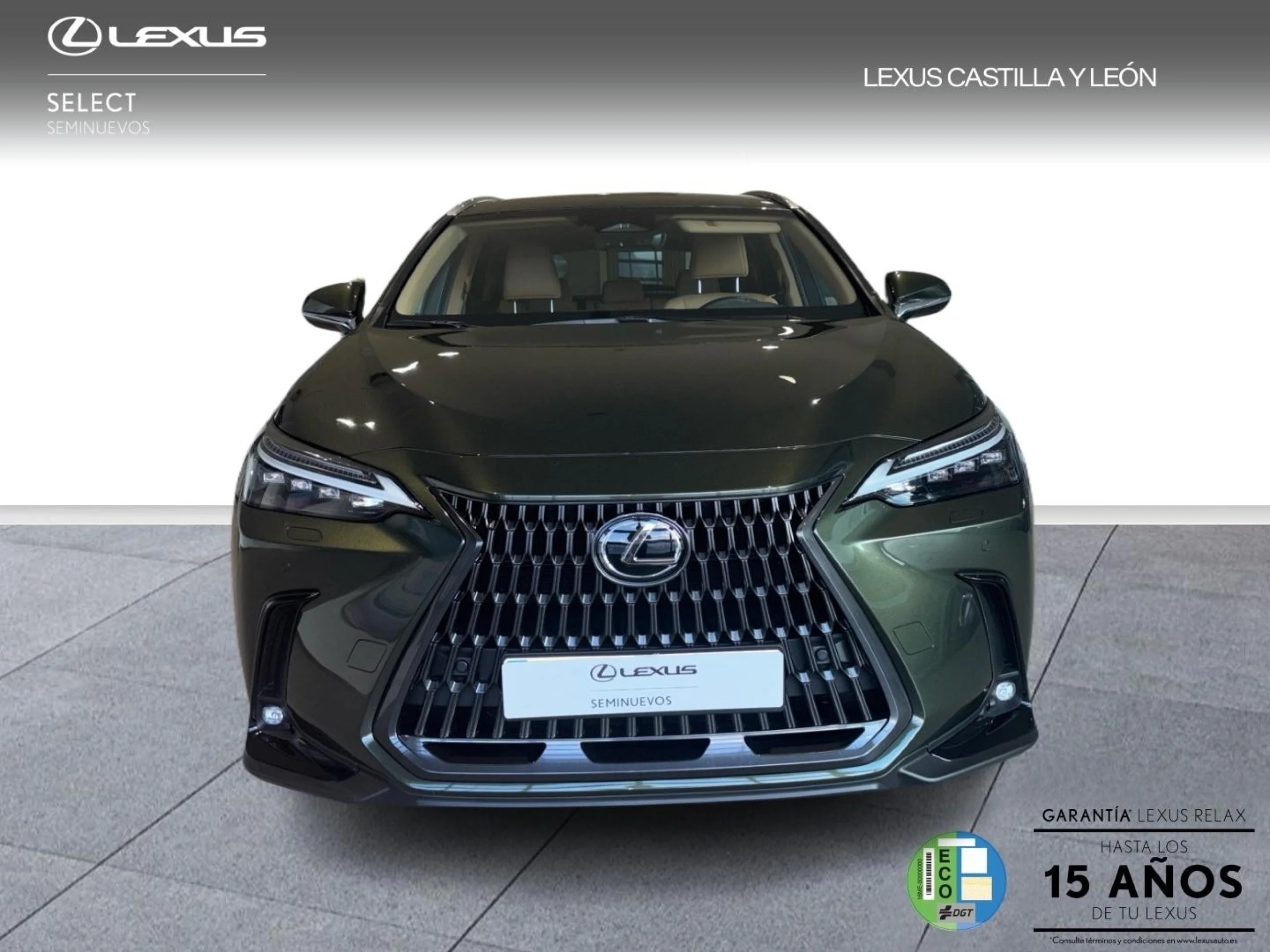 Lexus NX 350h EXECUTIVE PLUS - Foto 2