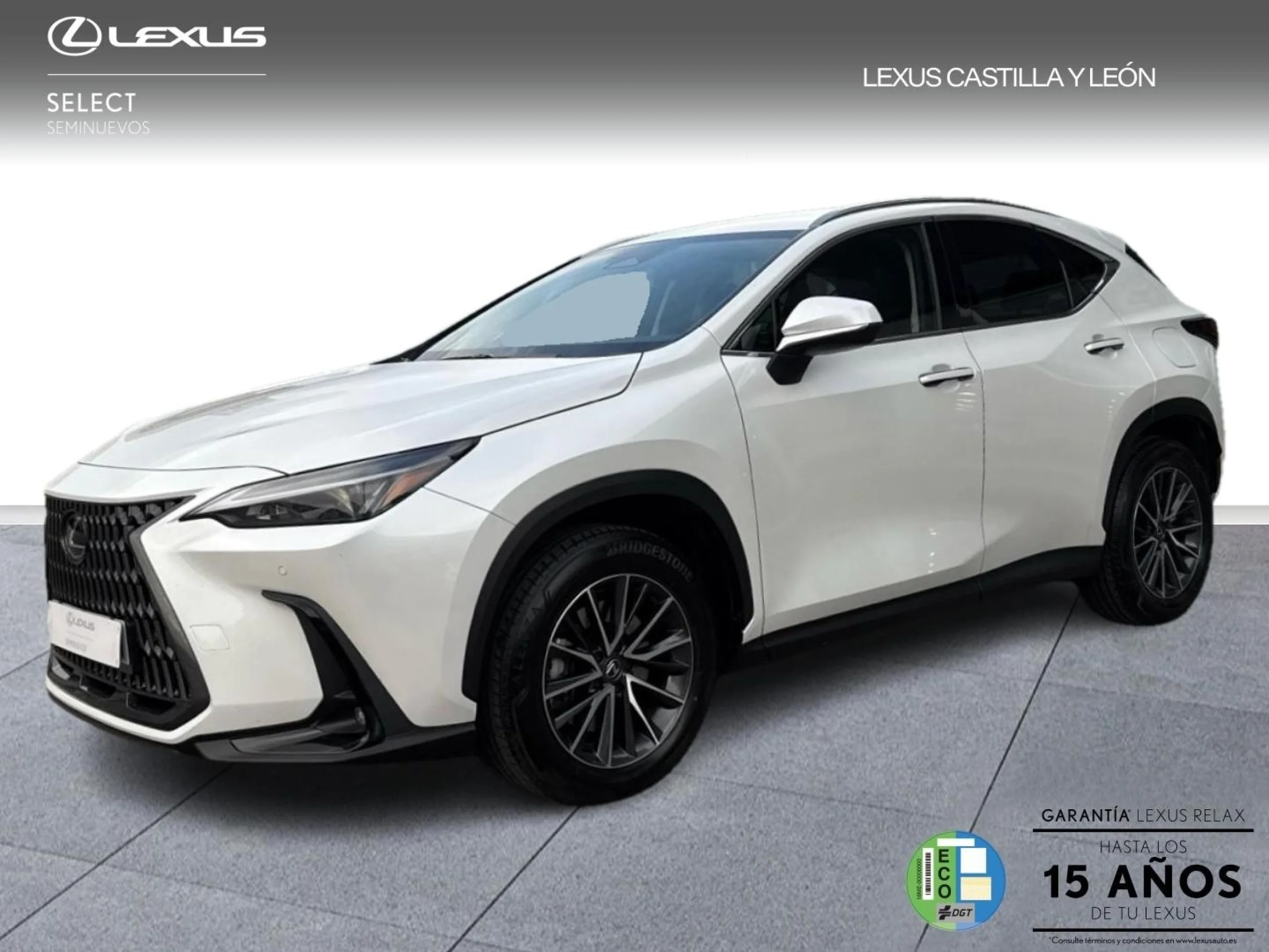 Lexus NX 450h+ + 4WD PREMIUM+ - Foto 1