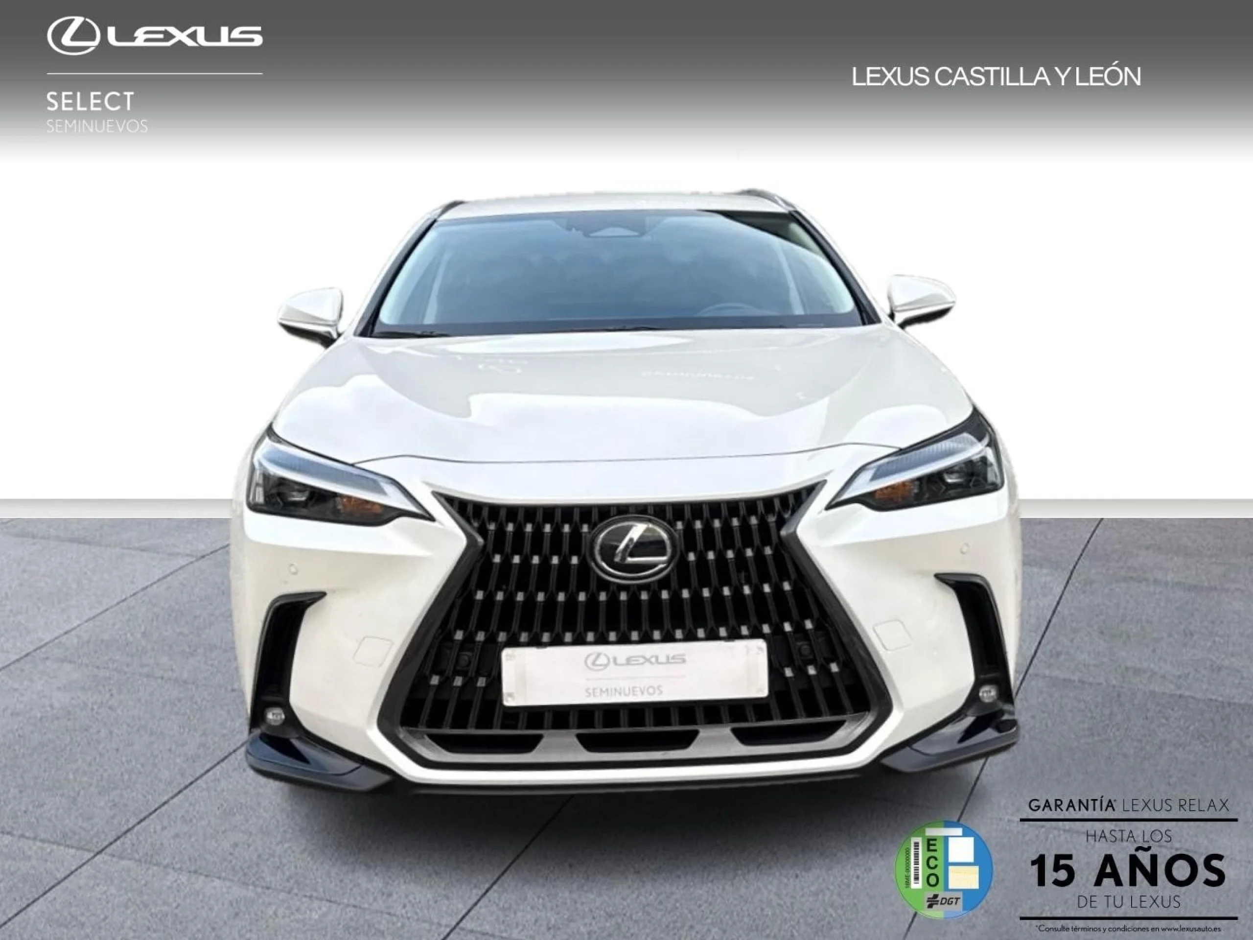 Lexus NX 450h+ + 4WD PREMIUM+ - Foto 2