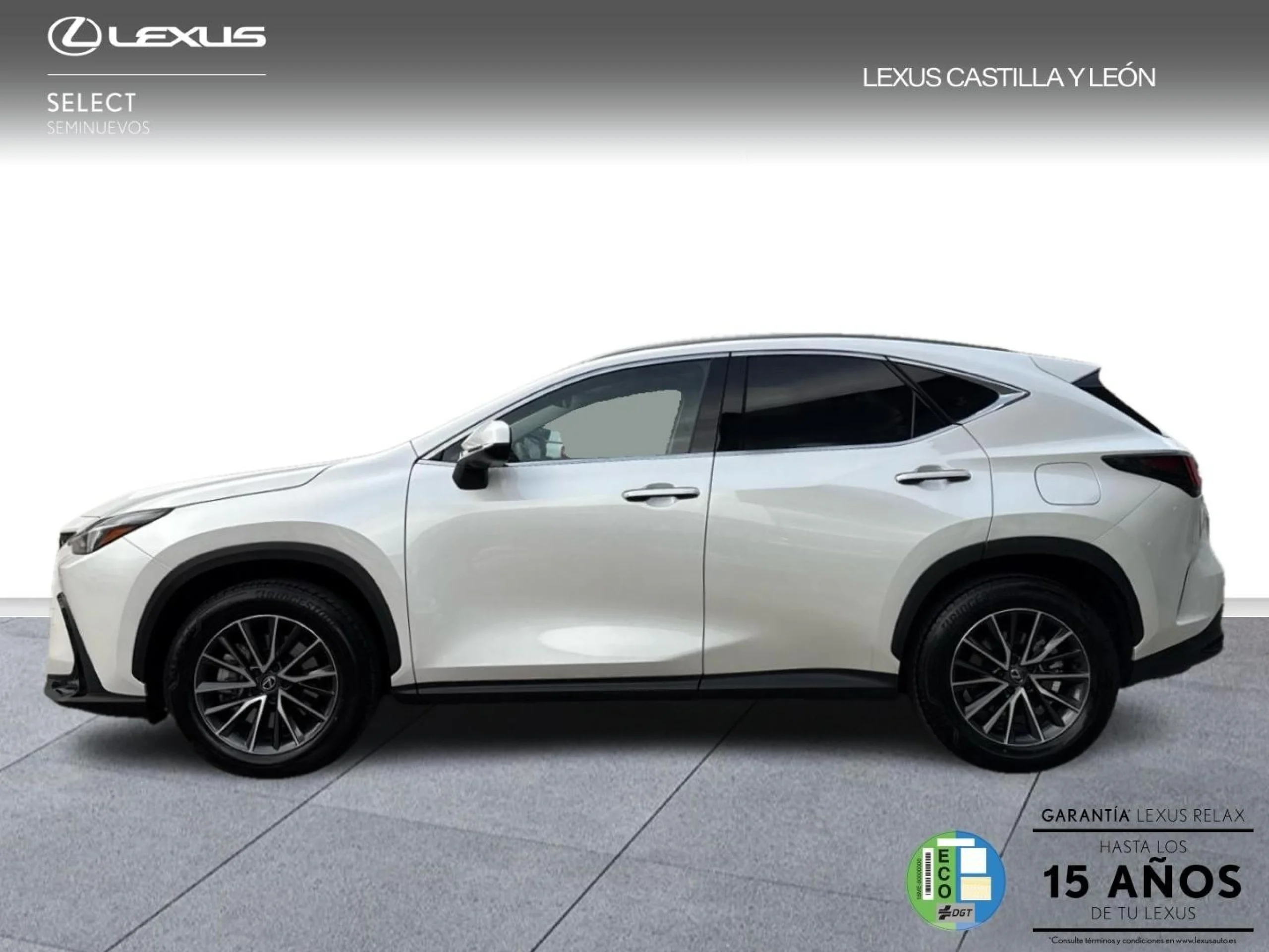 Lexus NX 450h+ + 4WD PREMIUM+ - Foto 3