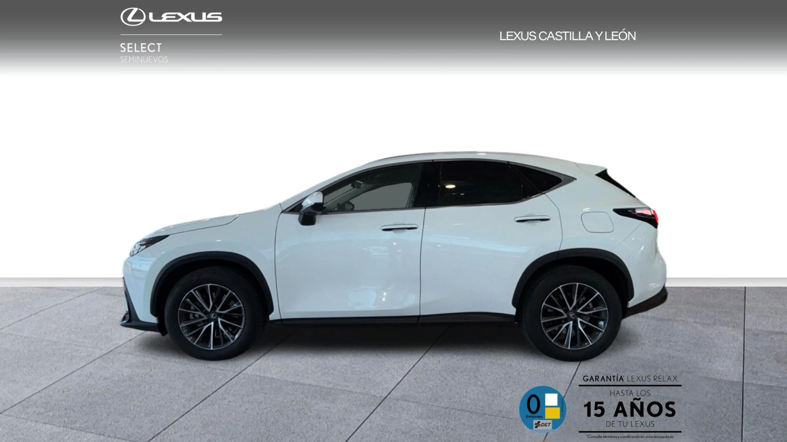 Lexus NX 450h+ + PREMIUM +  4WD - Foto 6