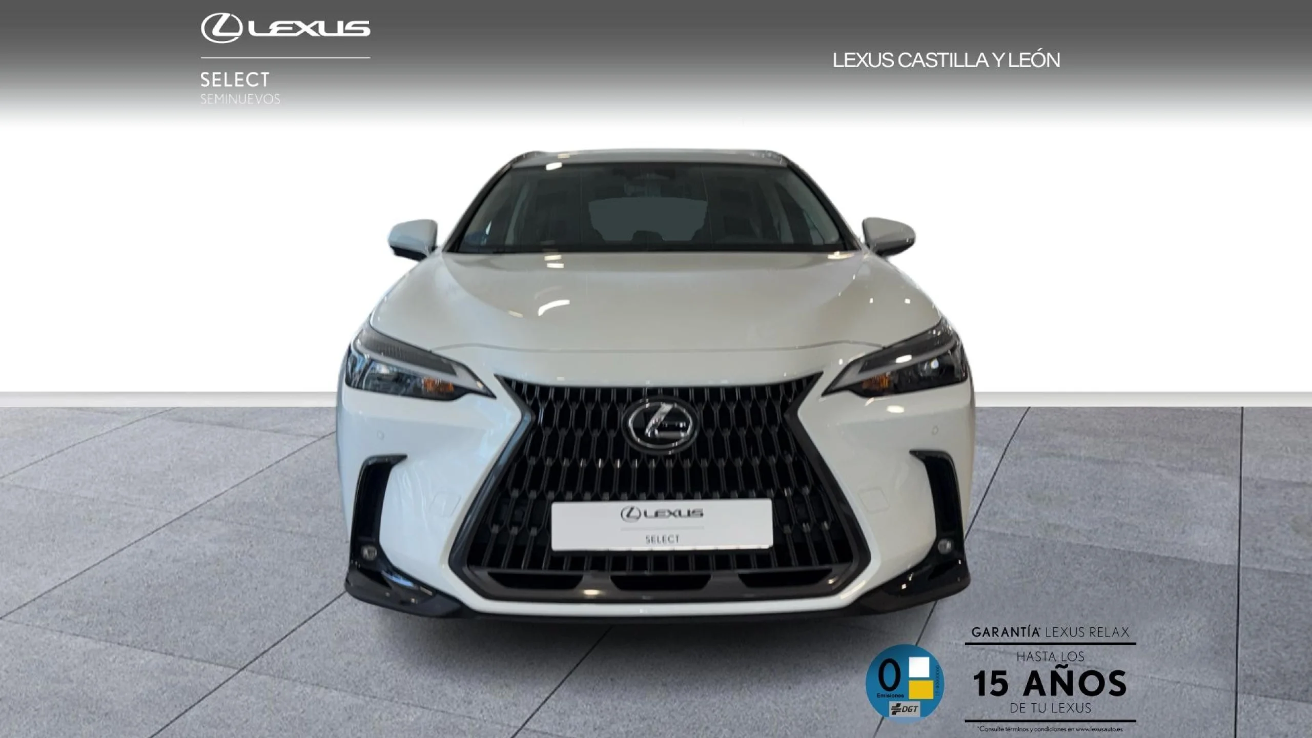 Lexus NX 450h+ + PREMIUM +  4WD - Foto 2