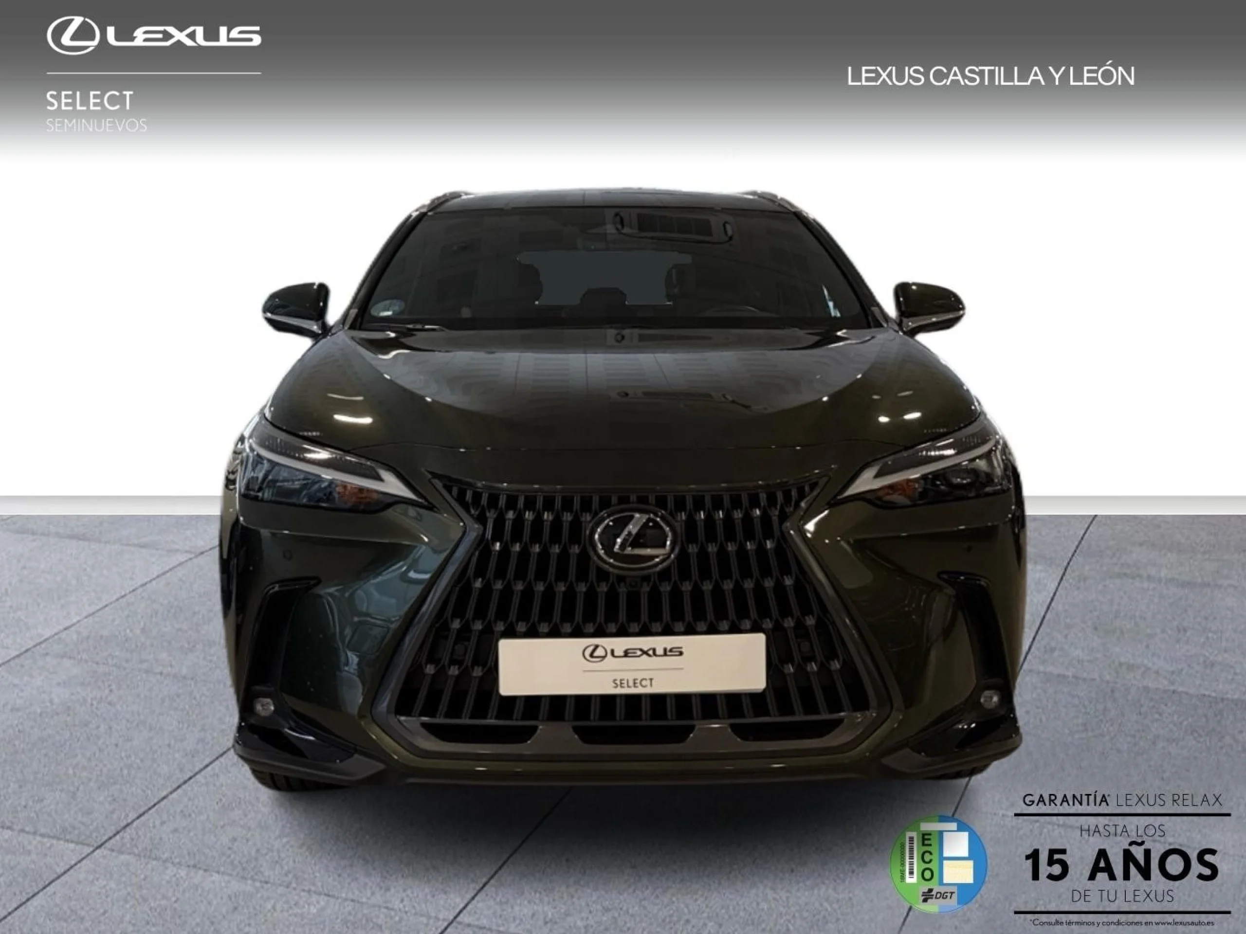 Lexus NX 350h NX350H EXECUTIVE 2WD - Foto 2