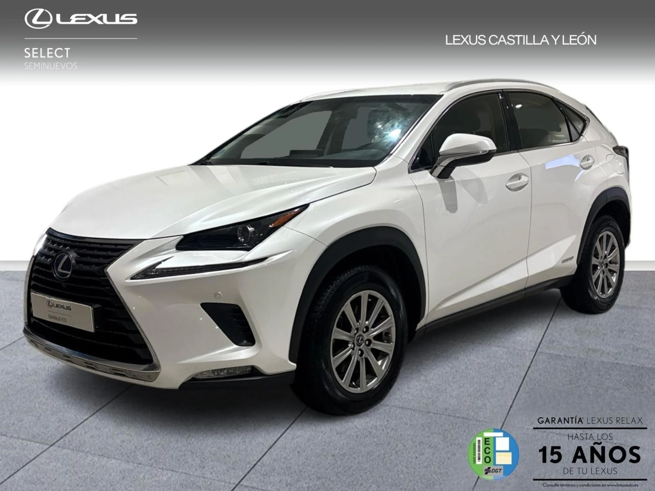 Lexus NX 300h NX300H BUSSINES 2WD - Foto 1