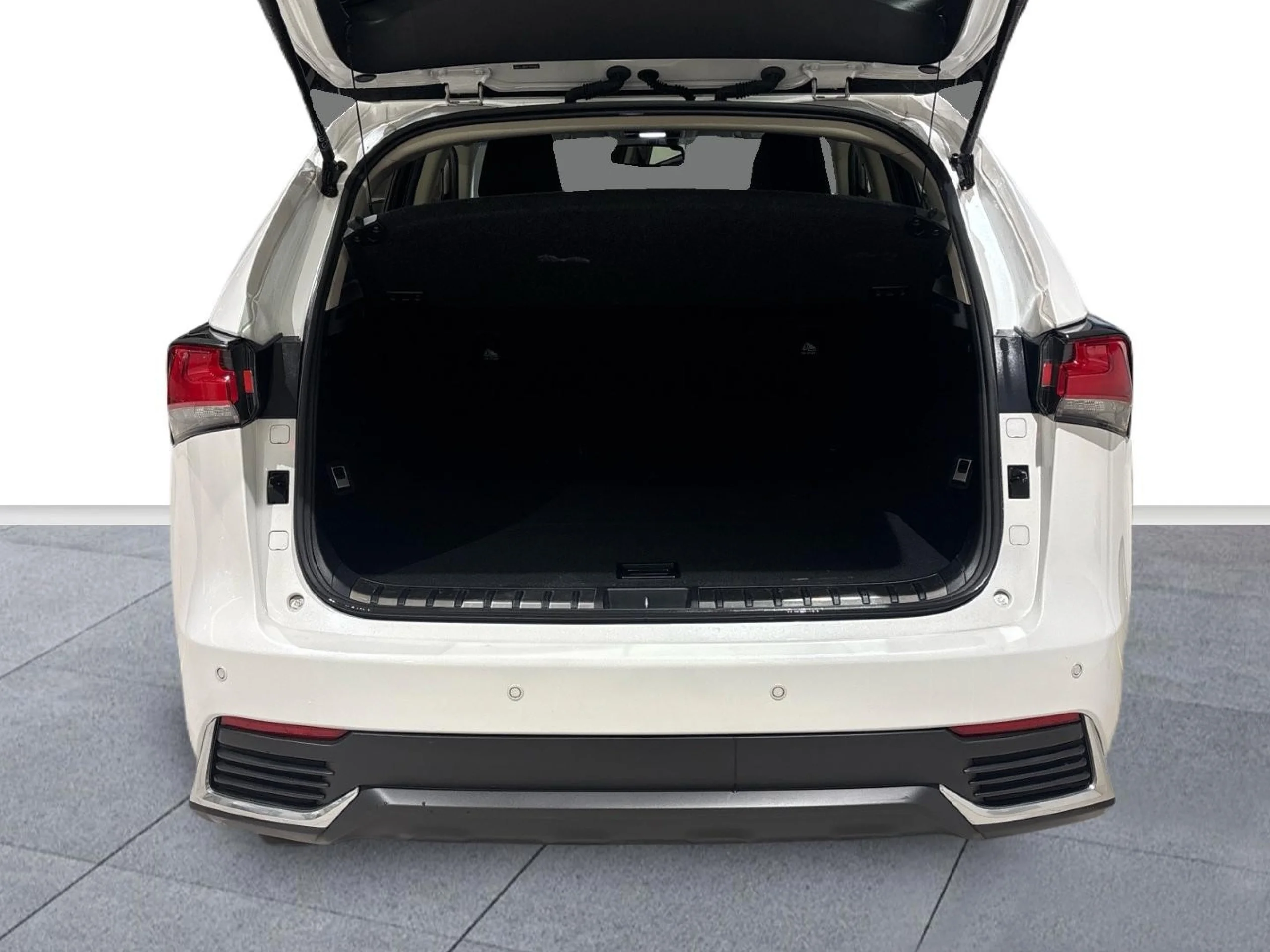 Lexus NX 300h NX300H BUSSINES 2WD - Foto 6