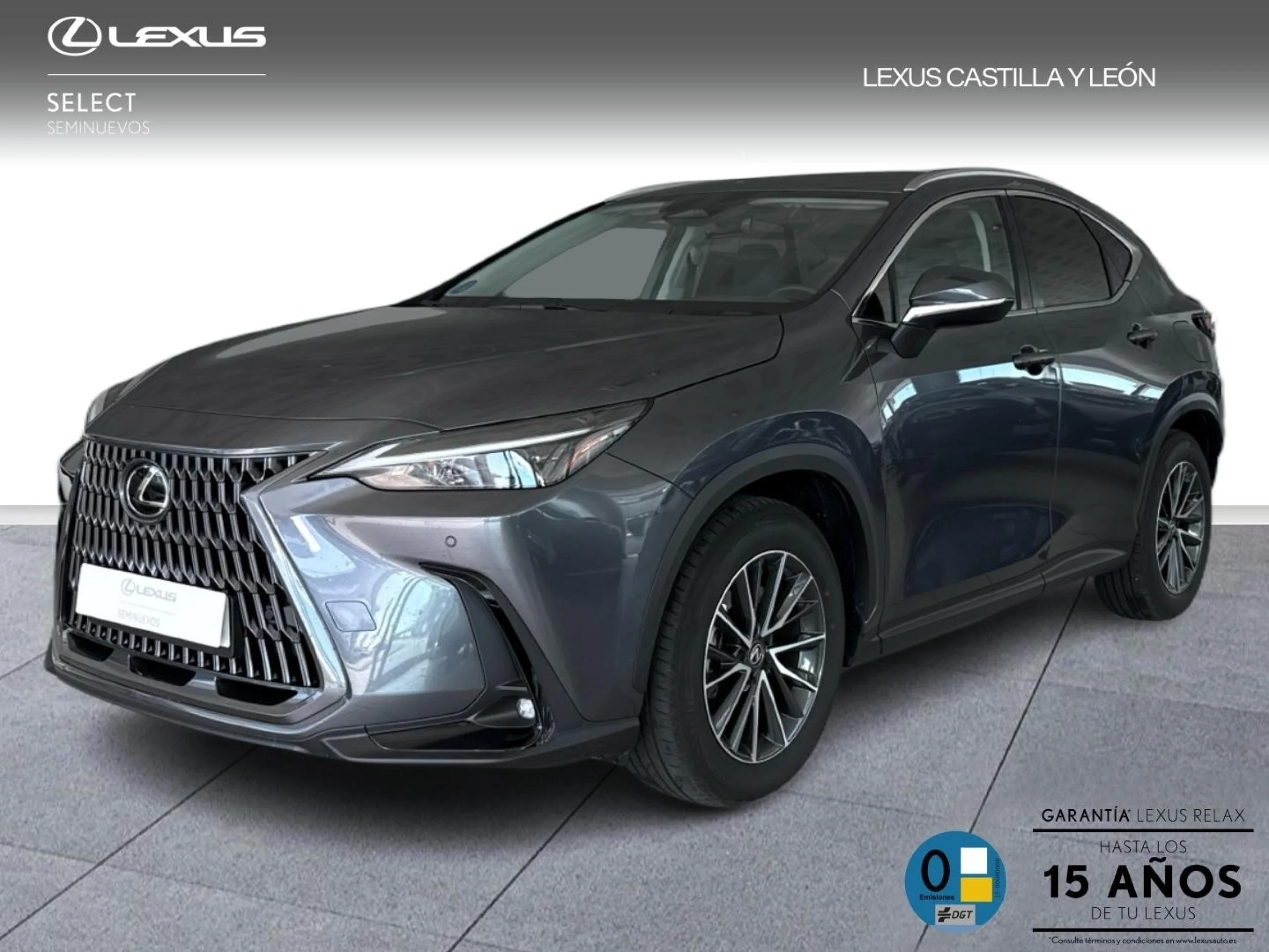 Lexus NX 450h+ NX450H + PREMIUM + 4WD - Foto 1