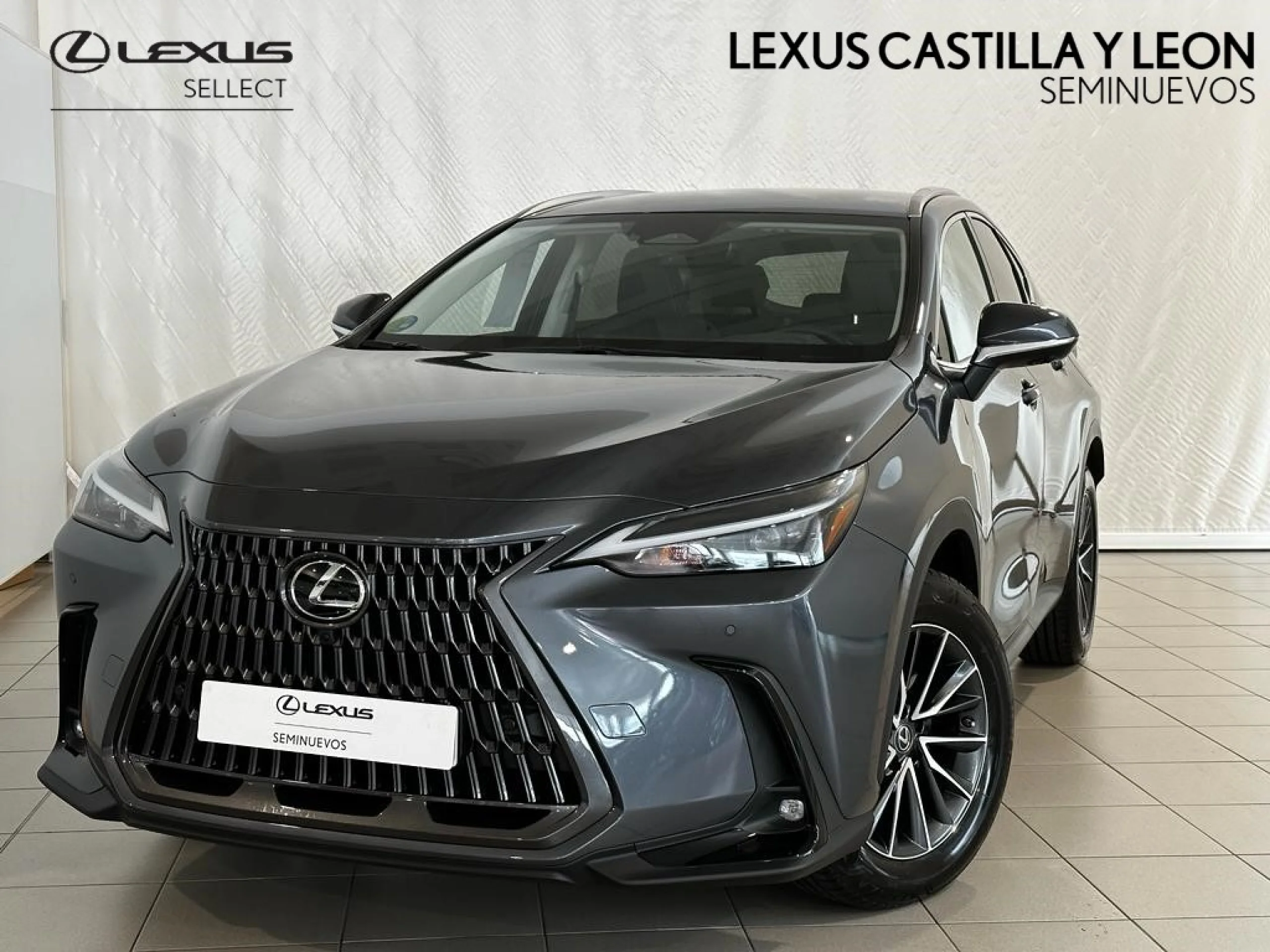 Lexus NX 350h NX350H 2WD PREMIUM - Foto 1