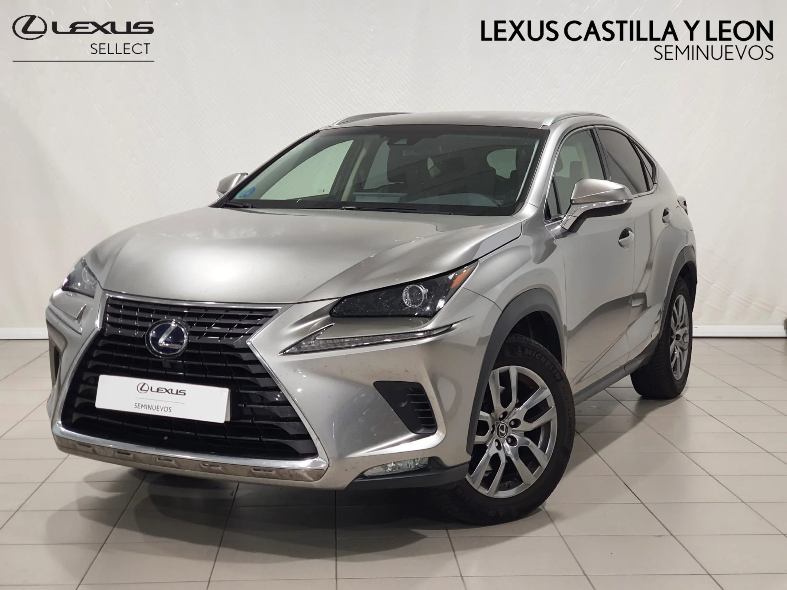 Lexus NX 300h NX300H EXECUTIVE  NAVIGATION 4WD - Foto 1