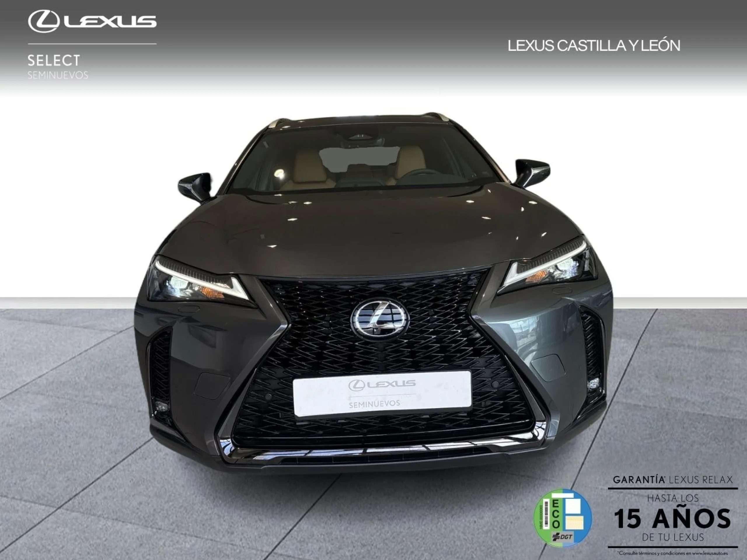 Lexus UX300h F SPORT - Foto 5