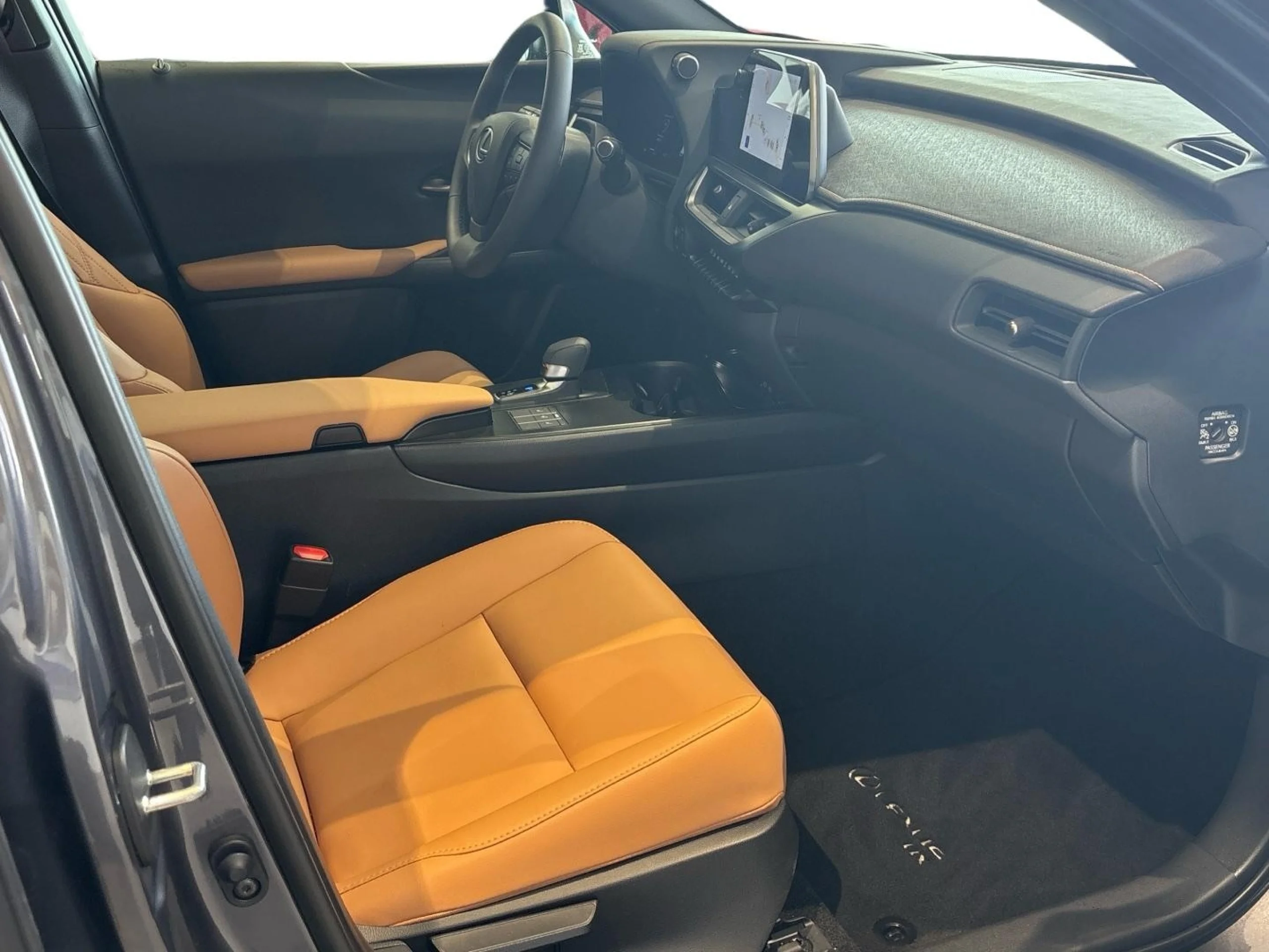 Lexus UX300h F SPORT - Foto 6