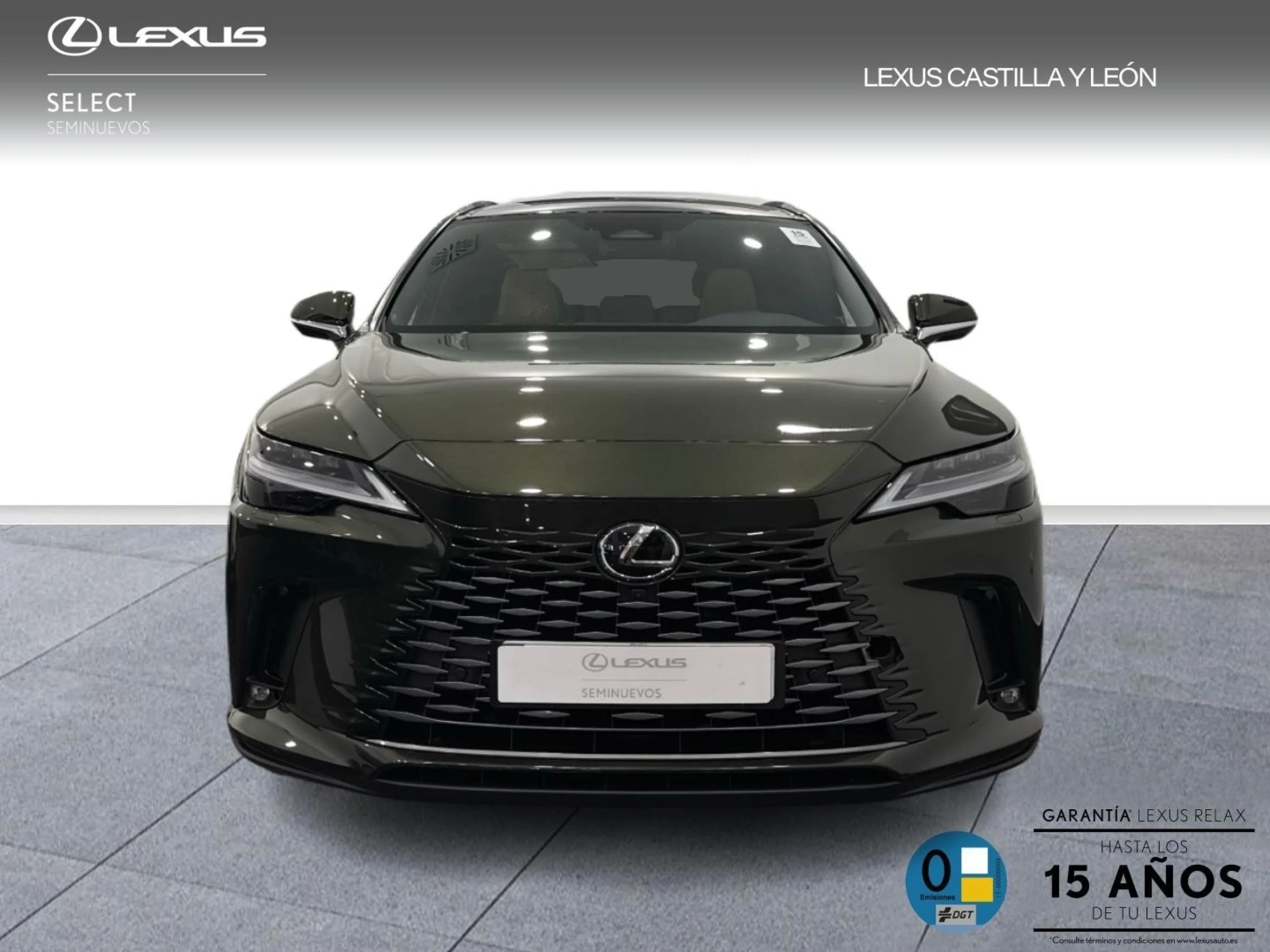 Lexus Rx 450h+ + EXECUTIVE+ - Foto 2