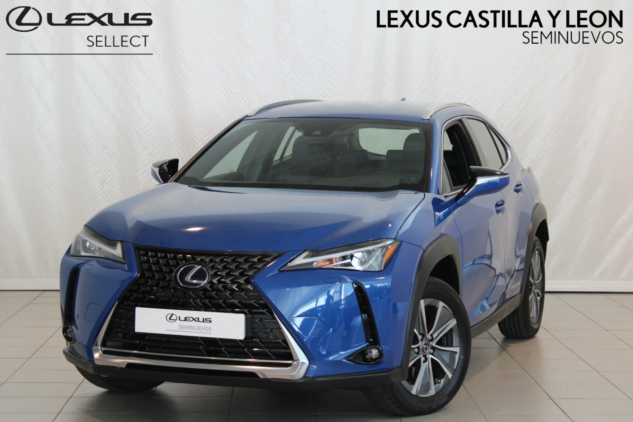 Lexus UX 300E Business - Foto 1