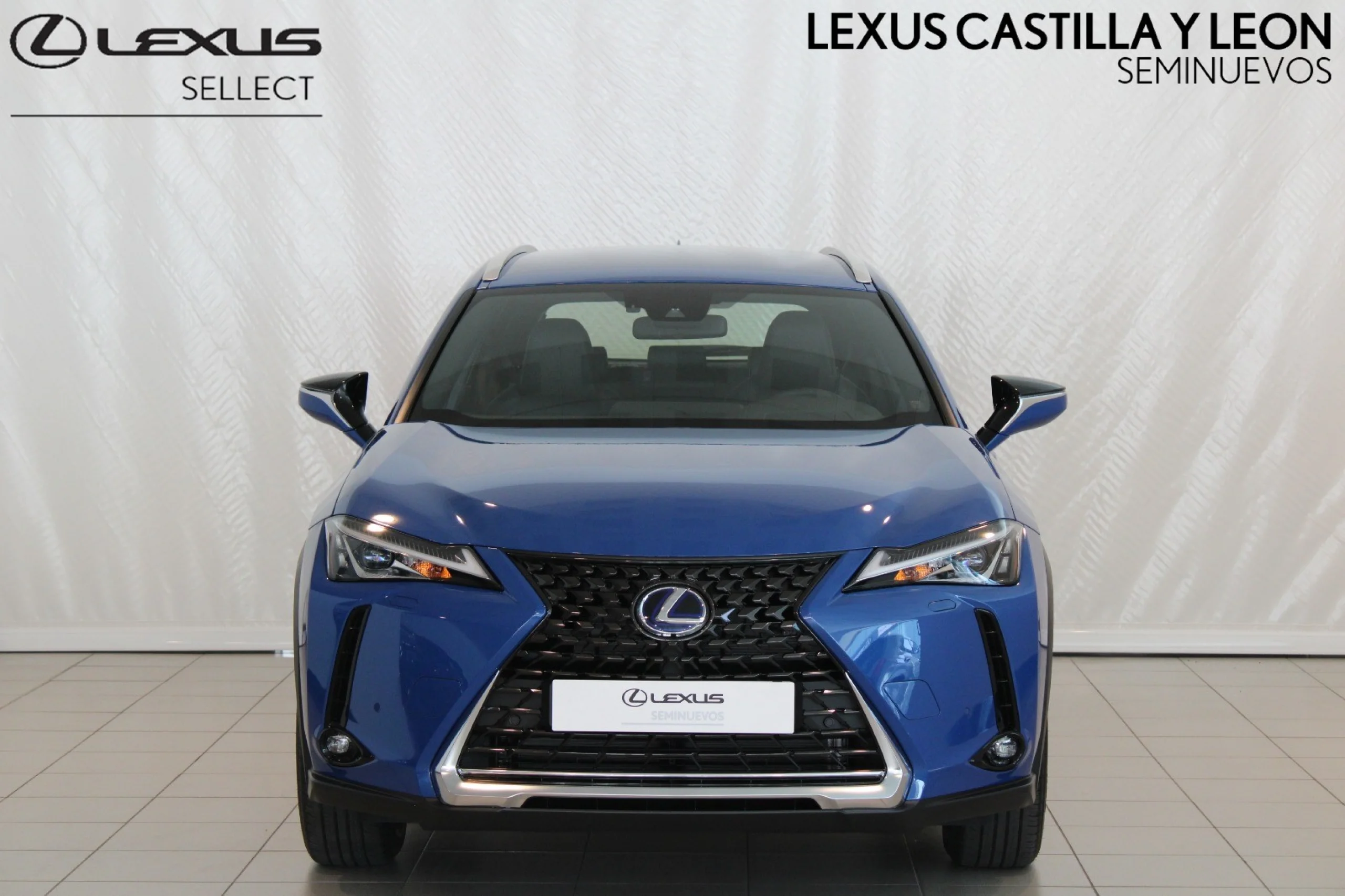 Lexus UX 300E Business - Foto 2