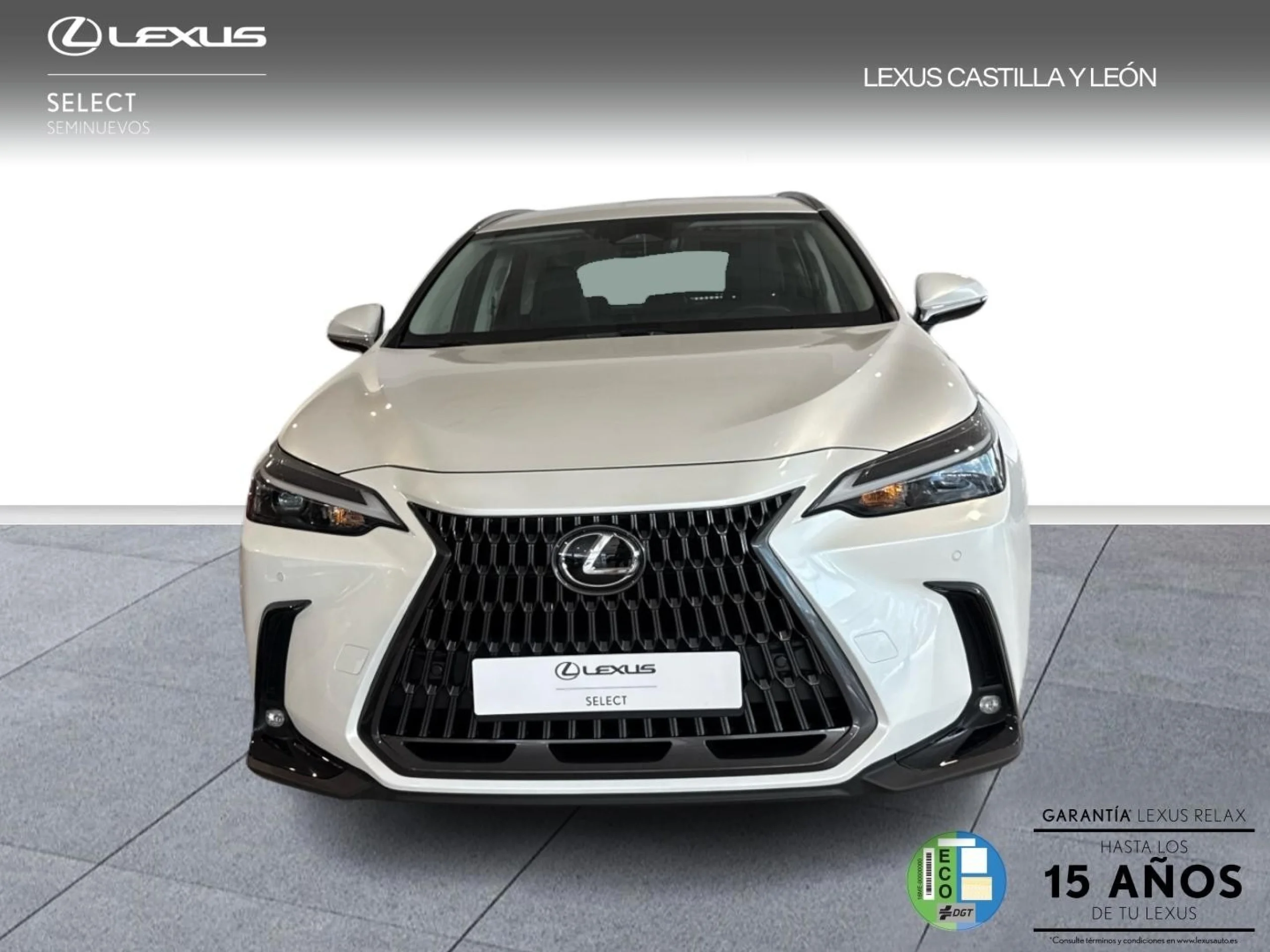 Lexus NX 350h 2WD PREMIUM+ - Foto 2