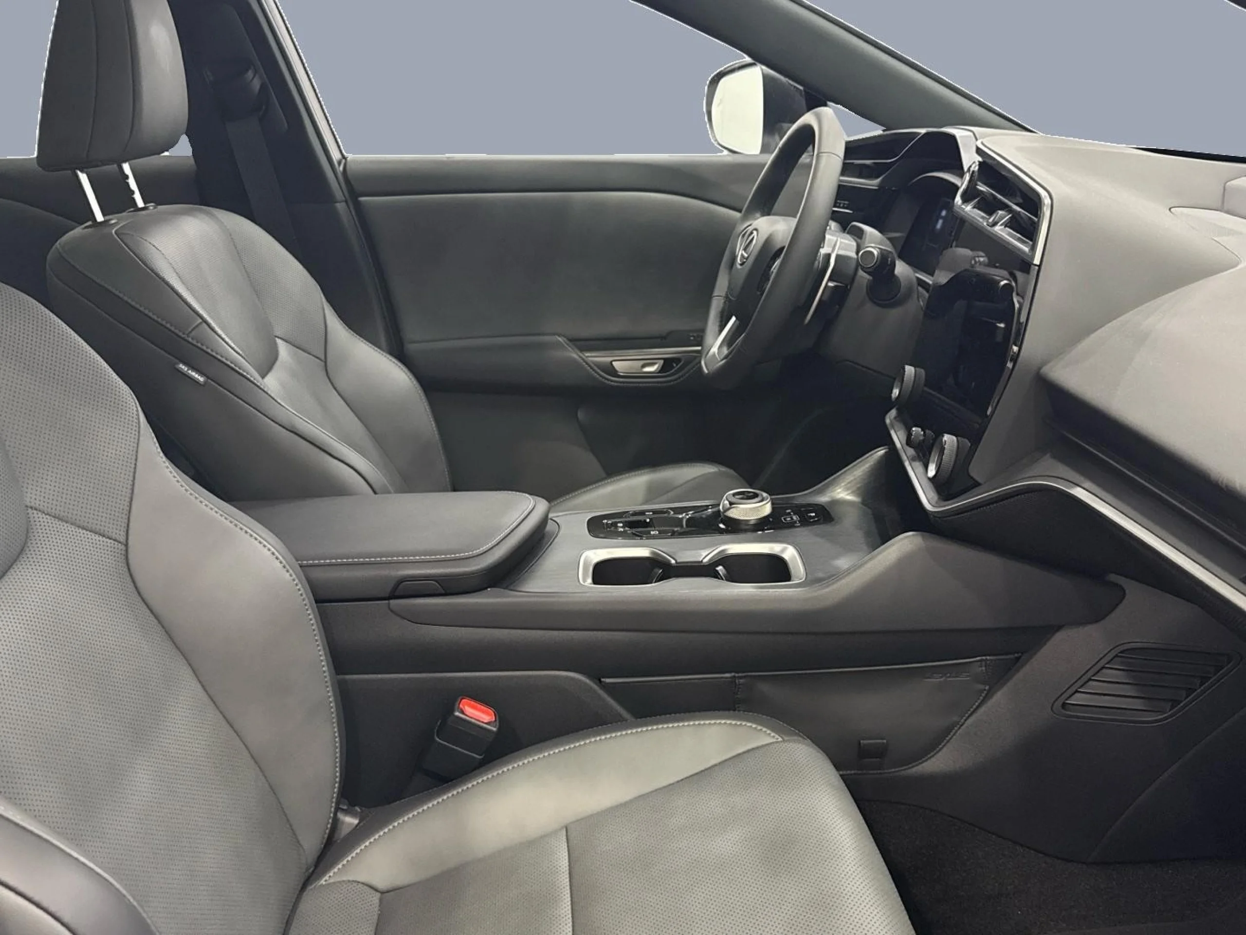 Lexus RZ300e EXECUTIVE - Foto 6