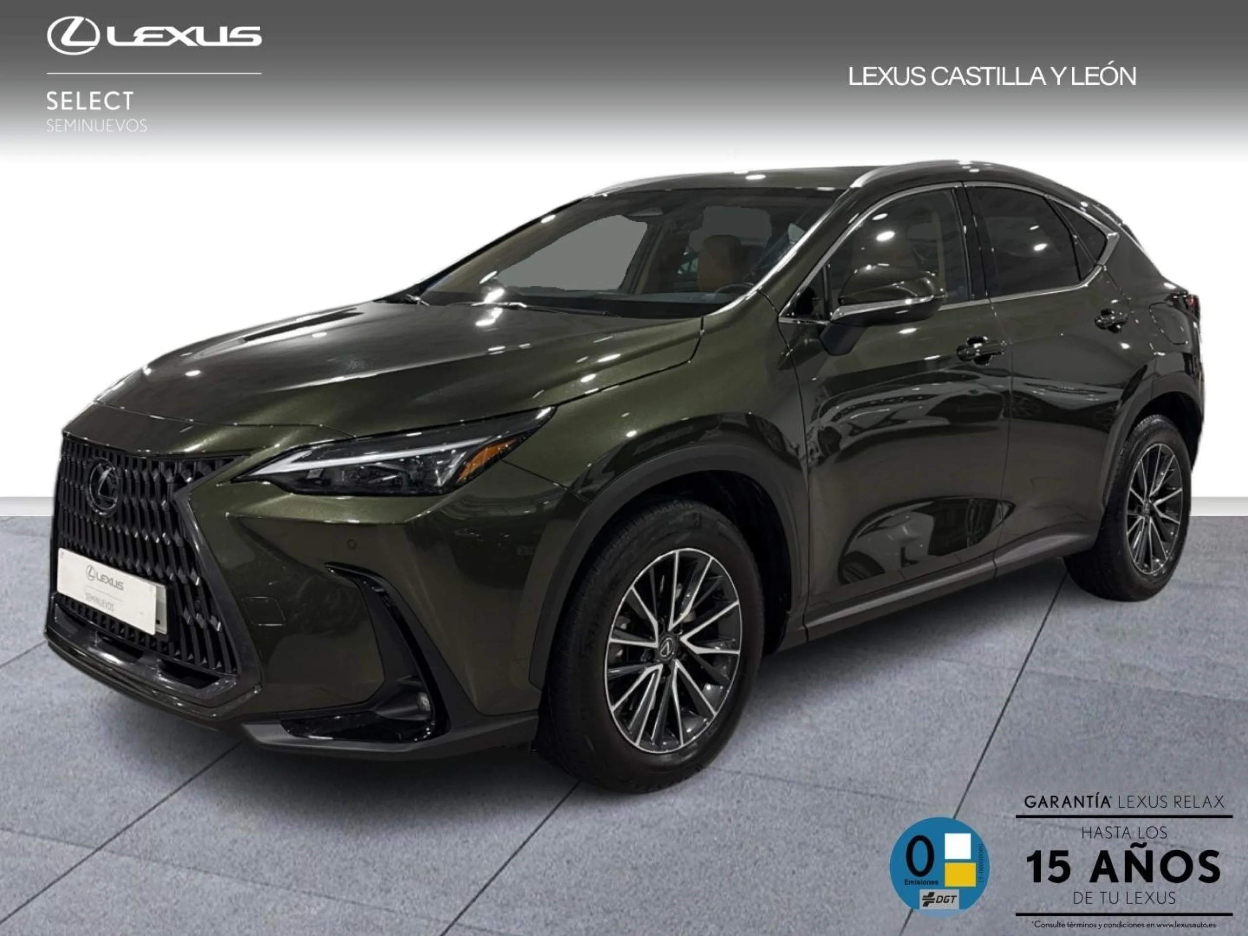 Lexus NX 450h+ NX450H+ 4WD PREMIUM + - Foto 1