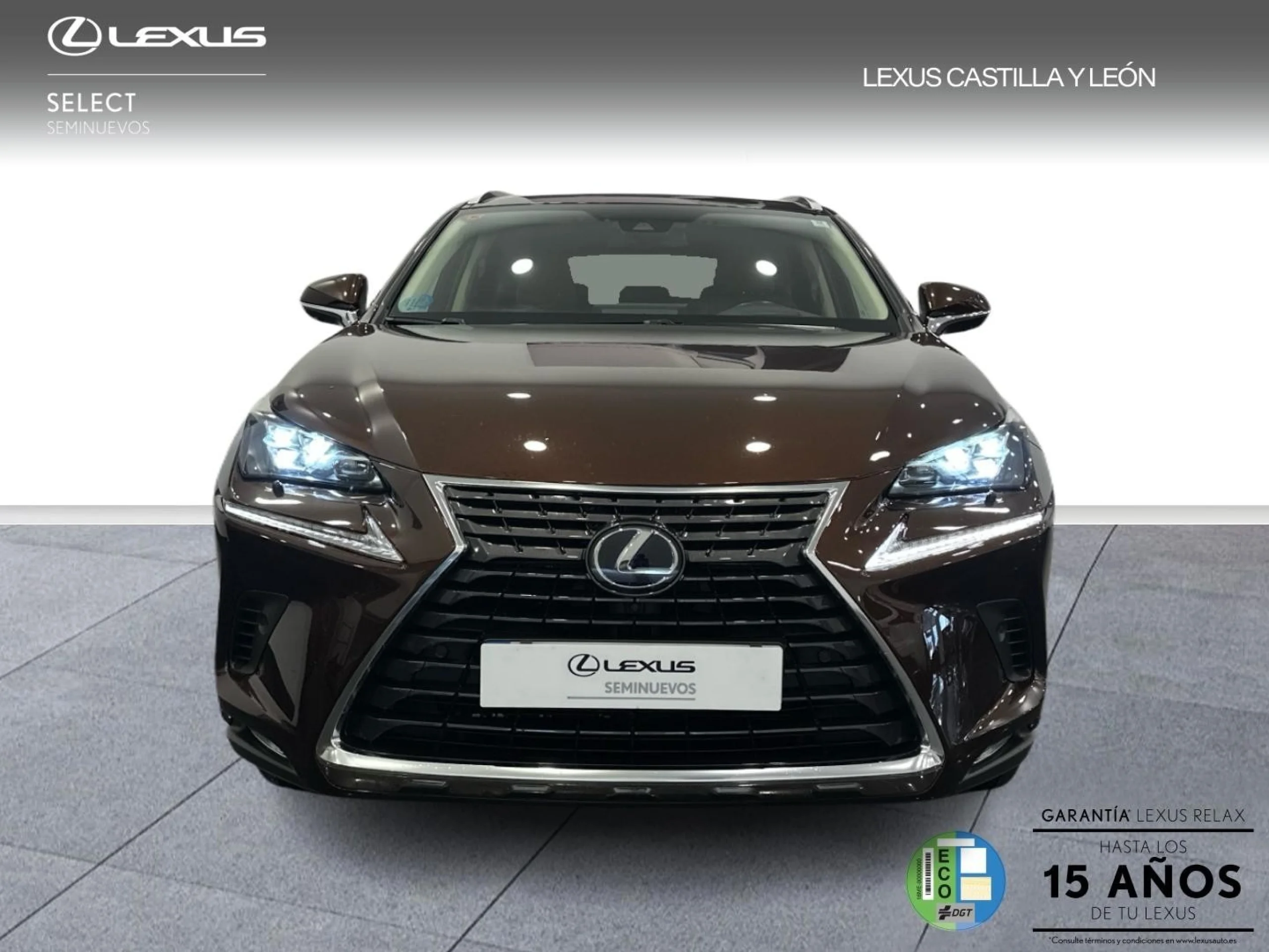 Lexus NX 300h NX300H LUXURY 4WD - Foto 2
