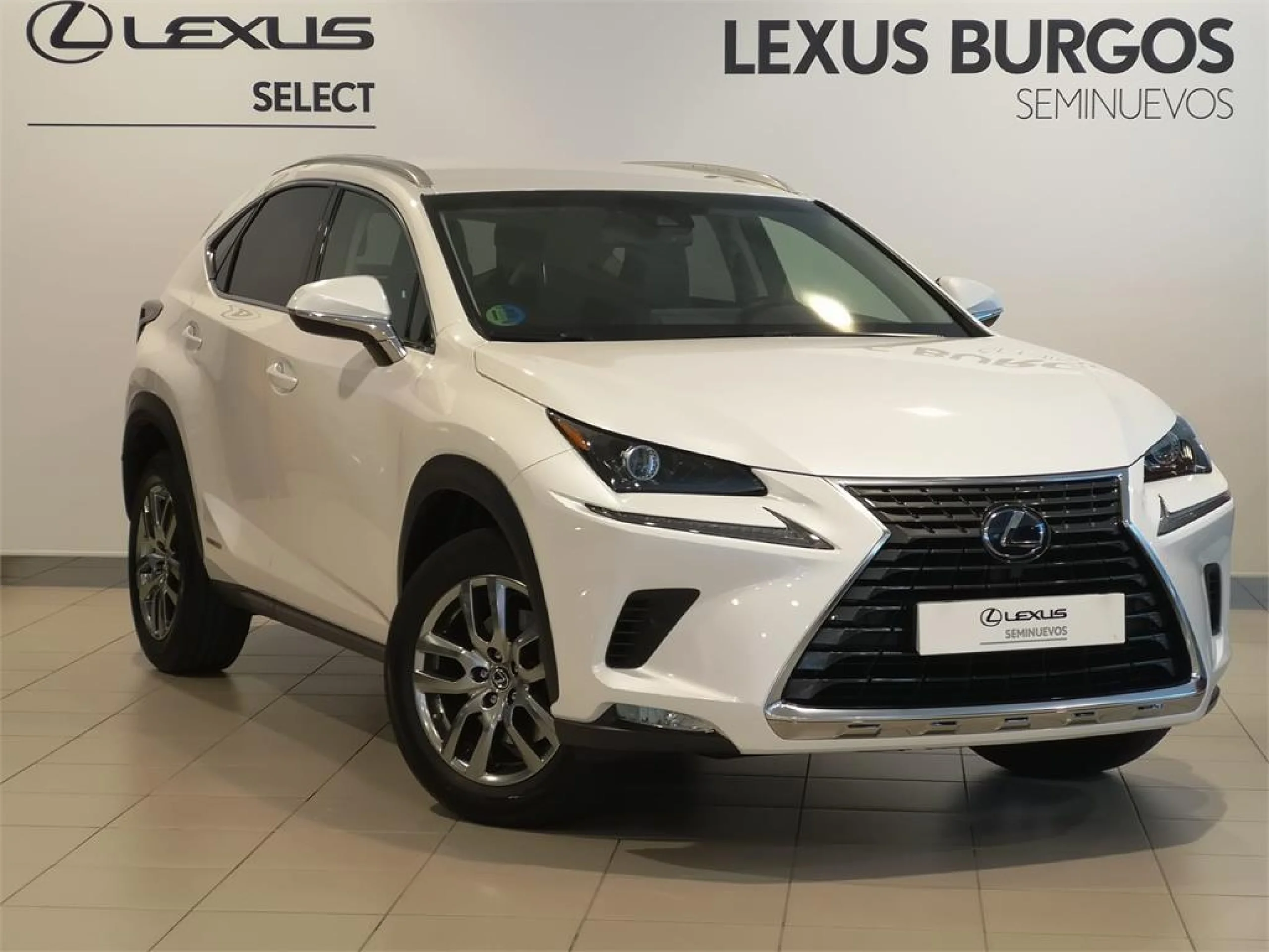 Lexus NX 300h NX300H EXECUTIVE NAVIGATION 4WD - Foto 1