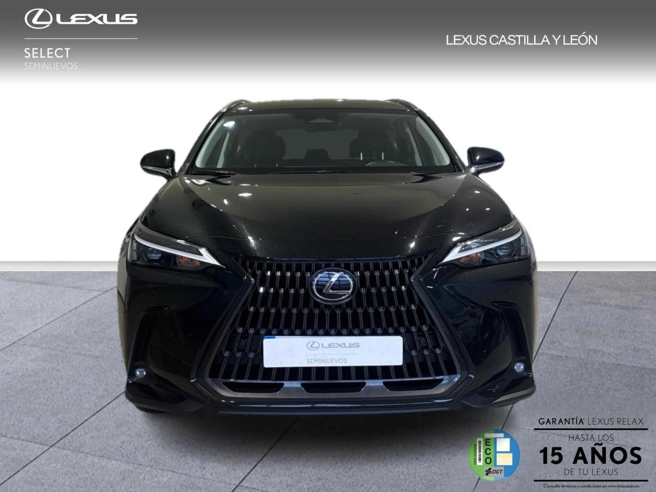 Lexus NX 350h PREMIUM - Foto 2