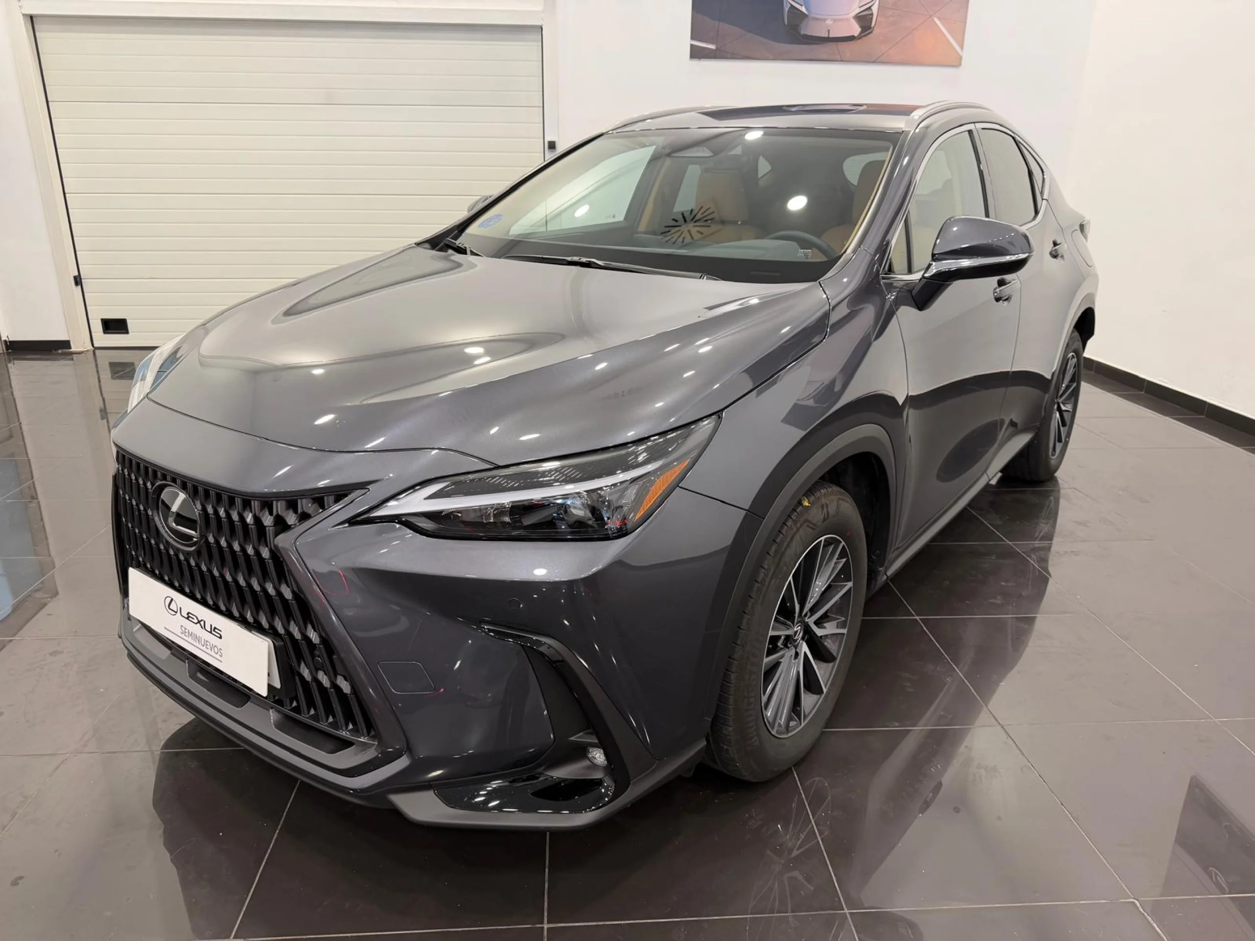 Lexus NX 450h+ NX450H + PREMIUM + 4WD - Foto 1
