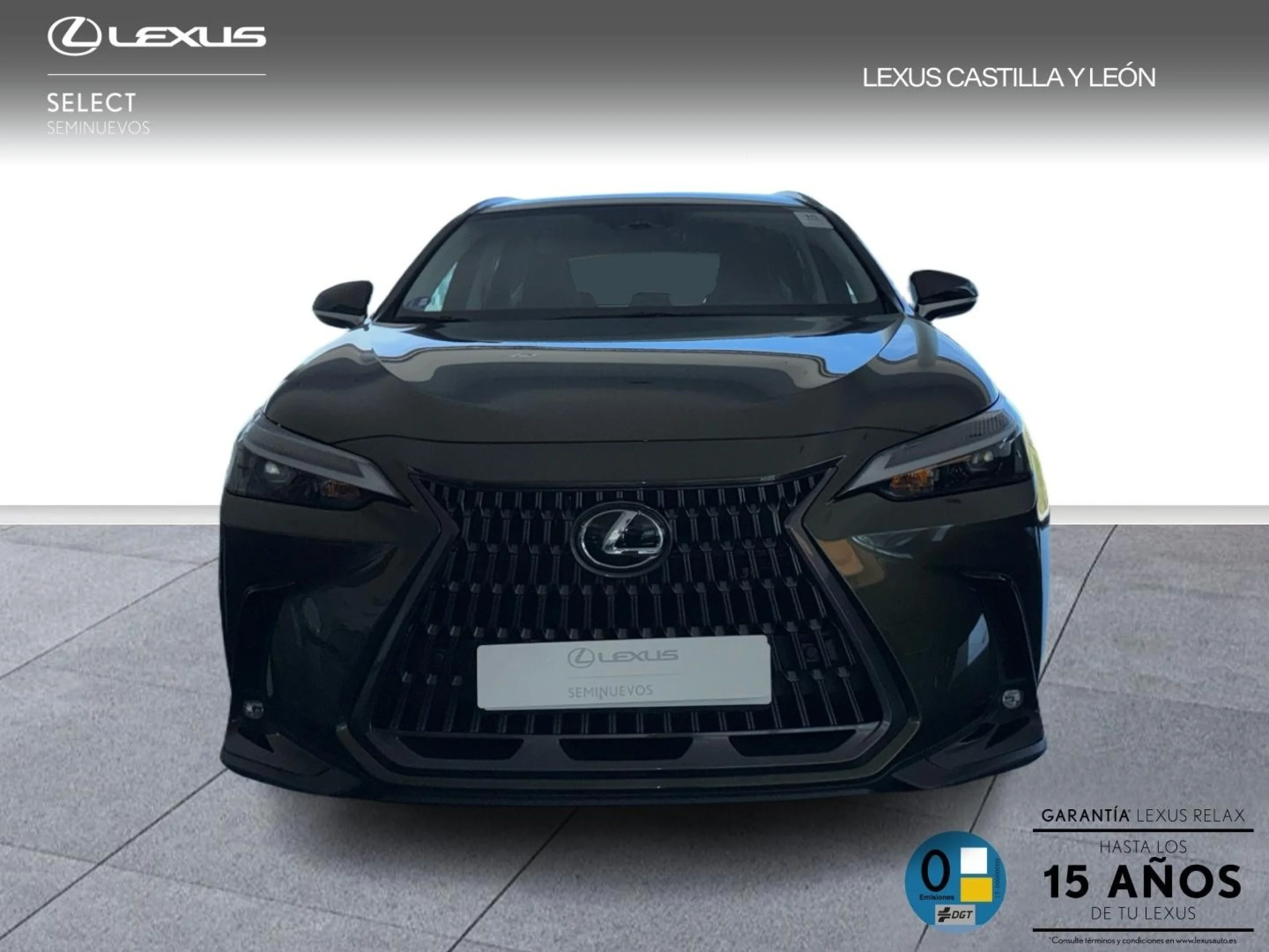 Lexus NX 450h+ NX450H + PREMIUM + 4WD - Foto 2