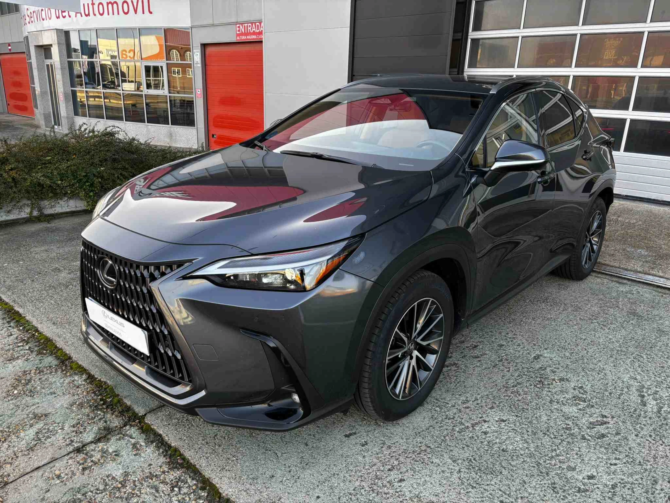 Lexus NX 450h+ NX450H+  4WD EXECUTIVE - Foto 1