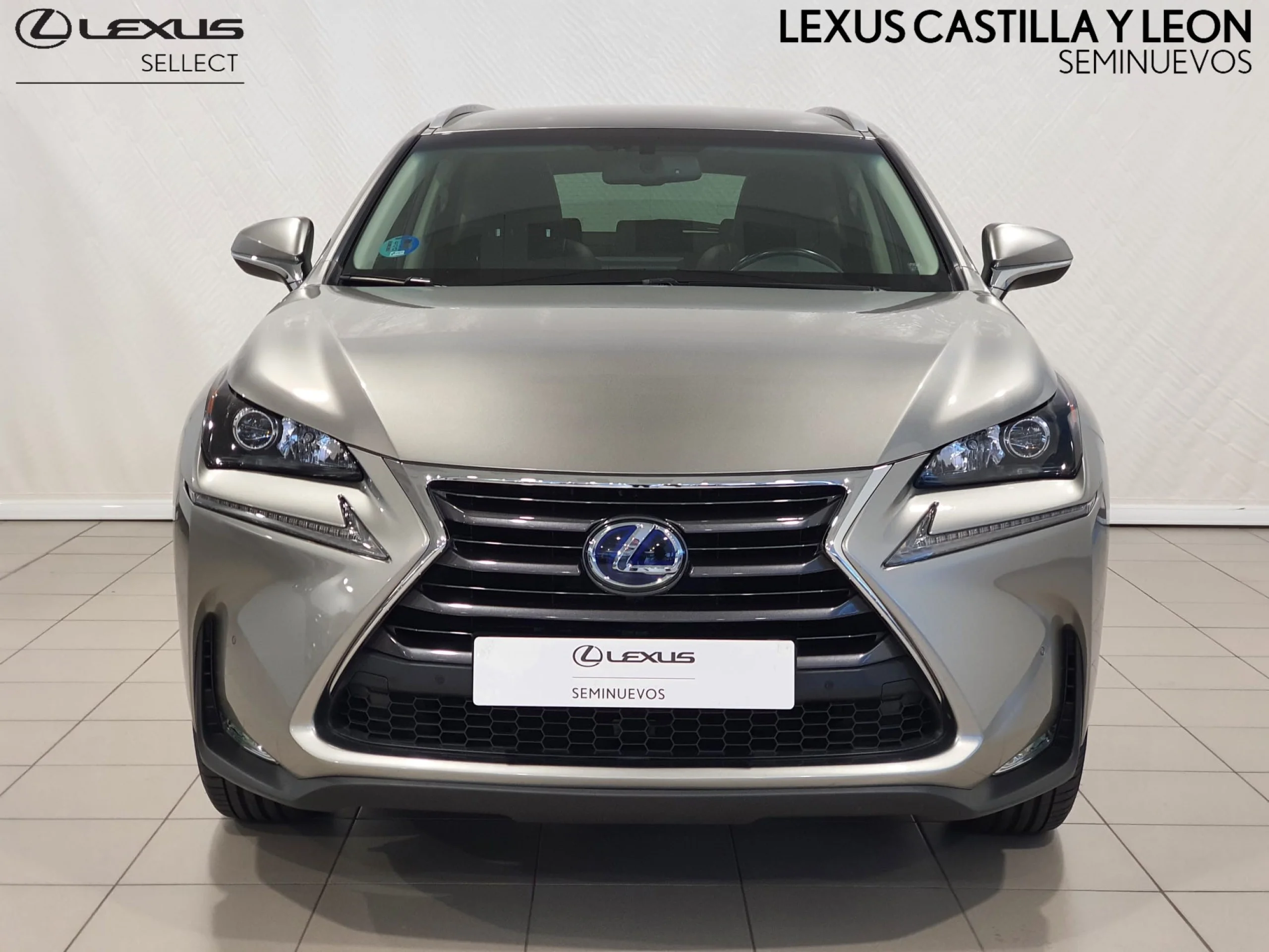 Lexus NX 300h NX300H EXECUTIVE 4WD - Foto 2