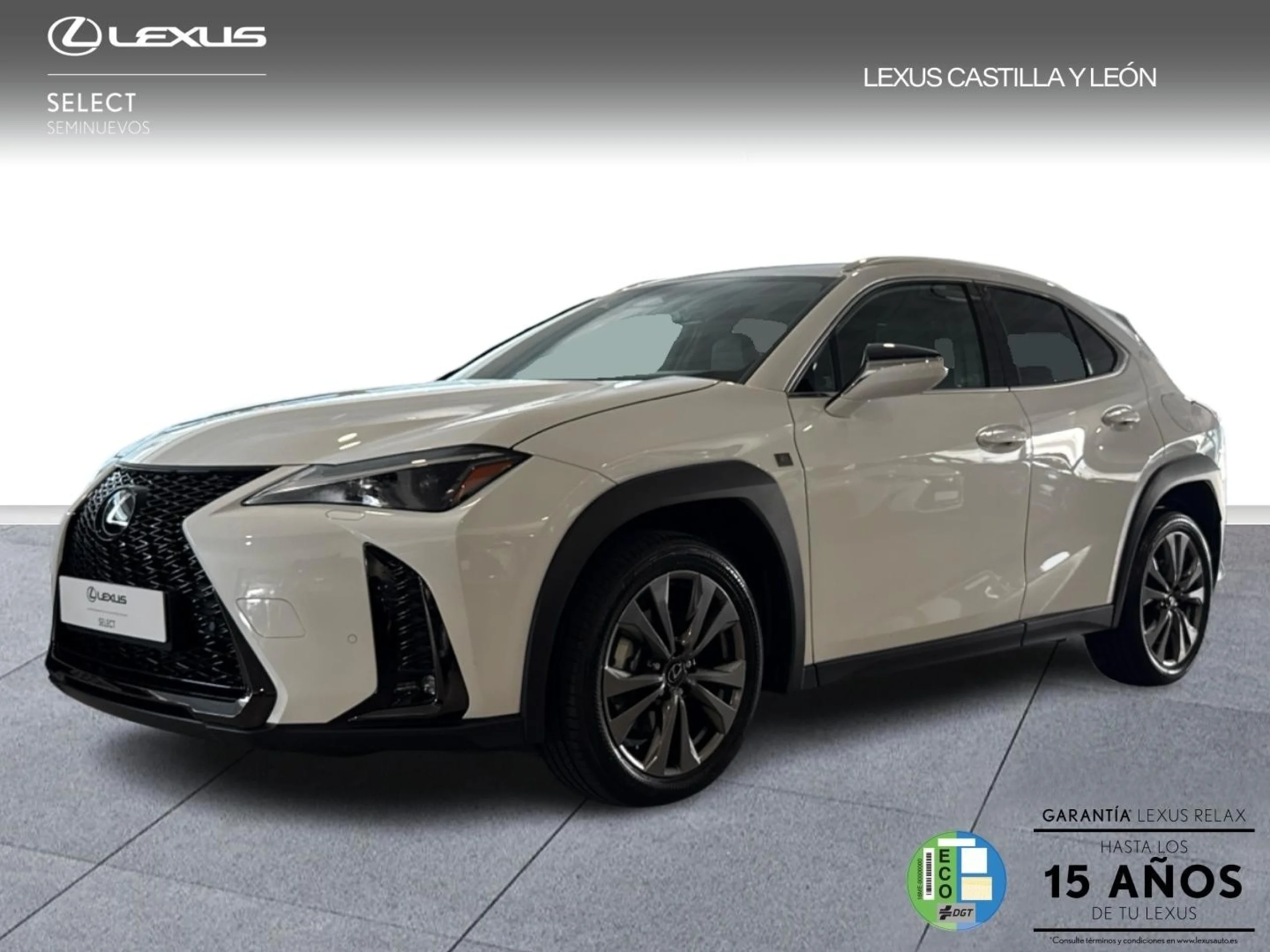 Lexus UX300h F SPORT - Foto 1
