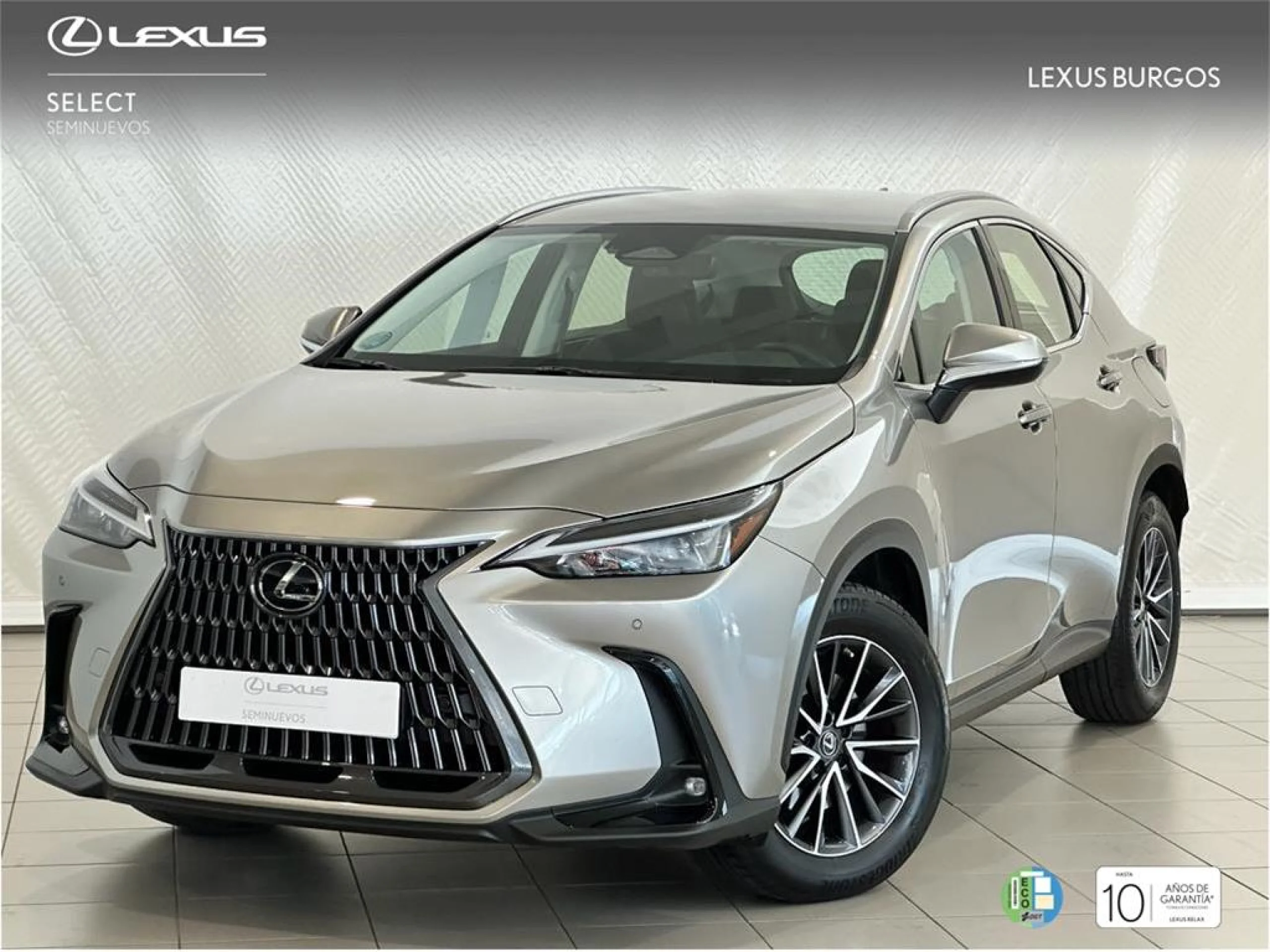 Lexus NX 450h+ + 4WD EXECUTIVE - Foto 1