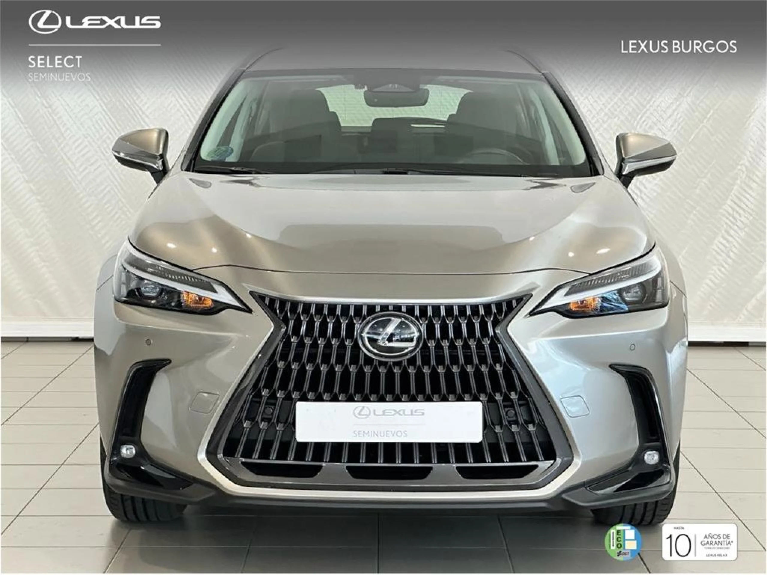 Lexus NX 450h+ + 4WD EXECUTIVE - Foto 2