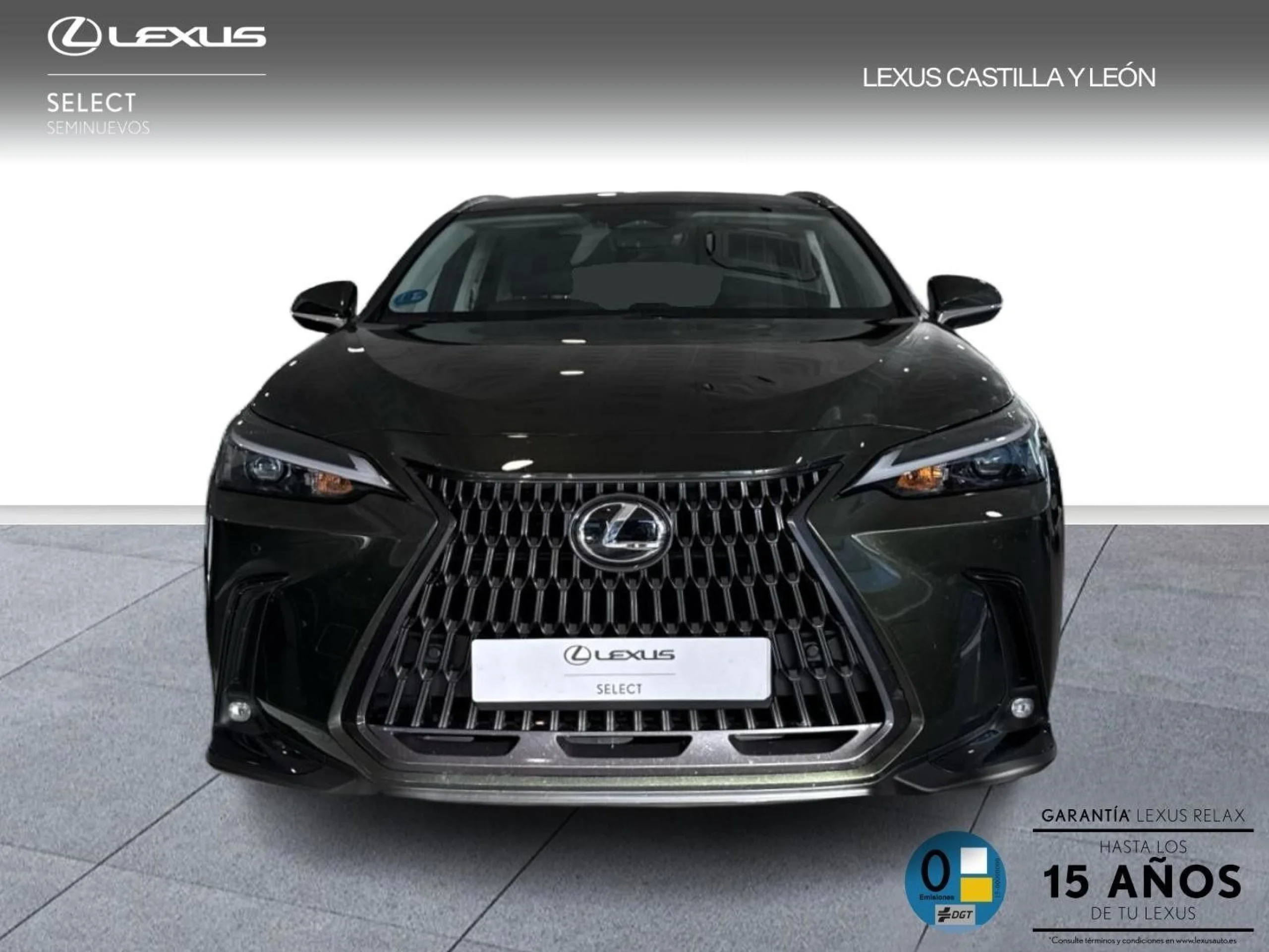 Lexus NX 450h+ + 4WD PREMIUM+  TD PREMIUM+ (Híbrido Enchufable) - Foto 2