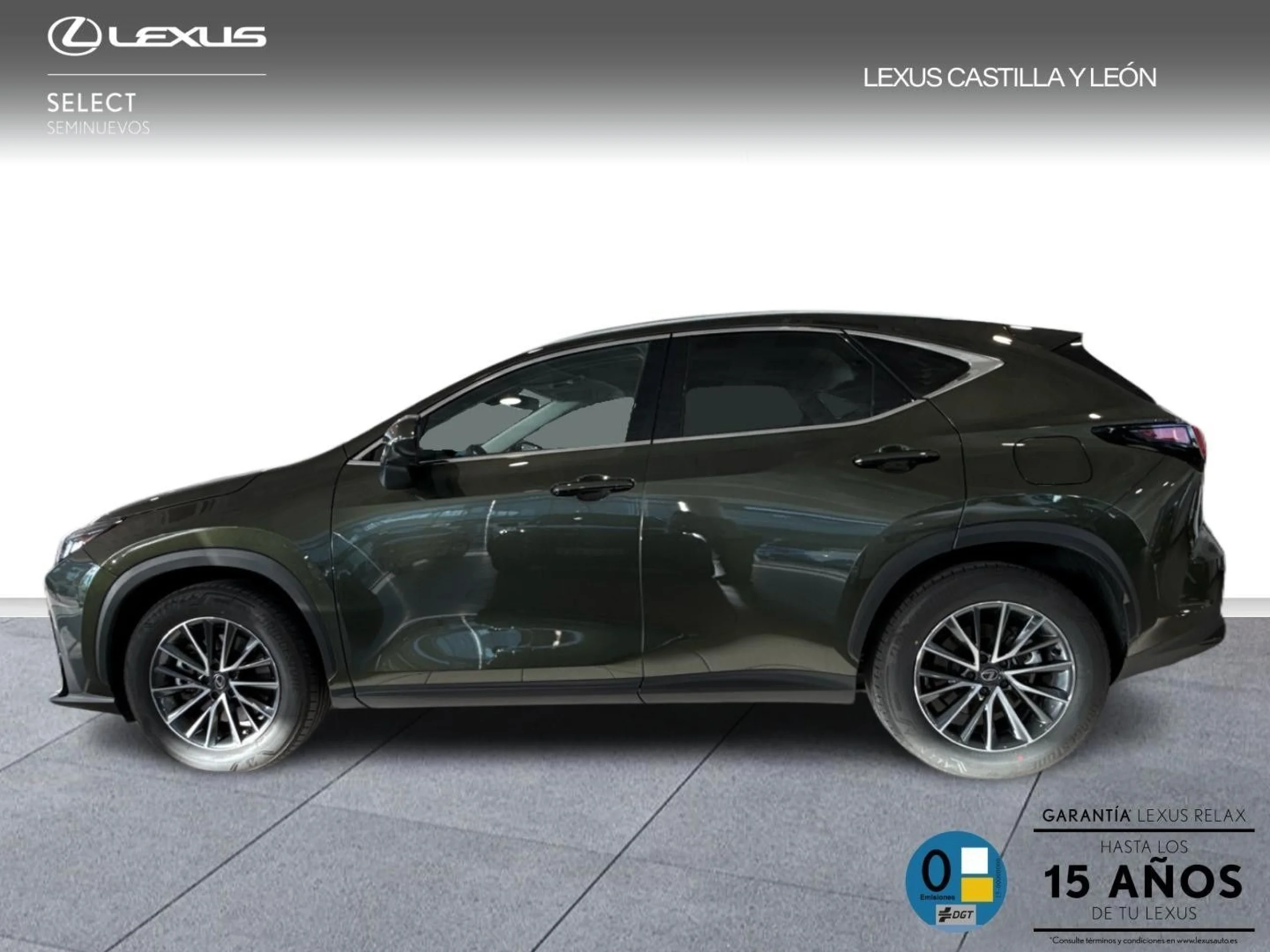Lexus NX 450h+ + 4WD PREMIUM+  TD PREMIUM+ (Híbrido Enchufable) - Foto 3