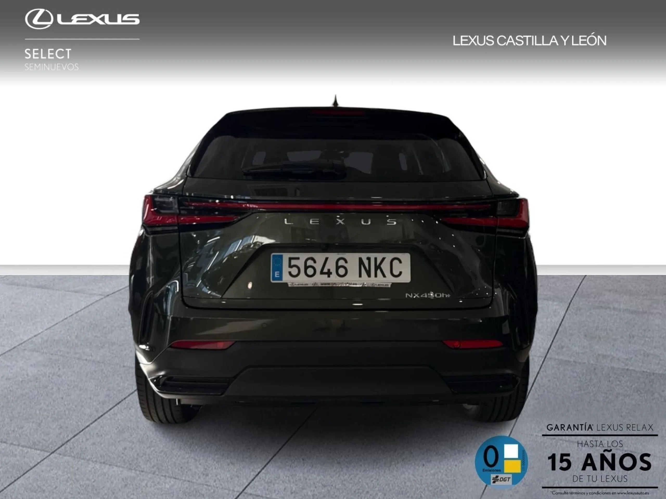 Lexus NX 450h+ + 4WD PREMIUM+  TD PREMIUM+ (Híbrido Enchufable) - Foto 5