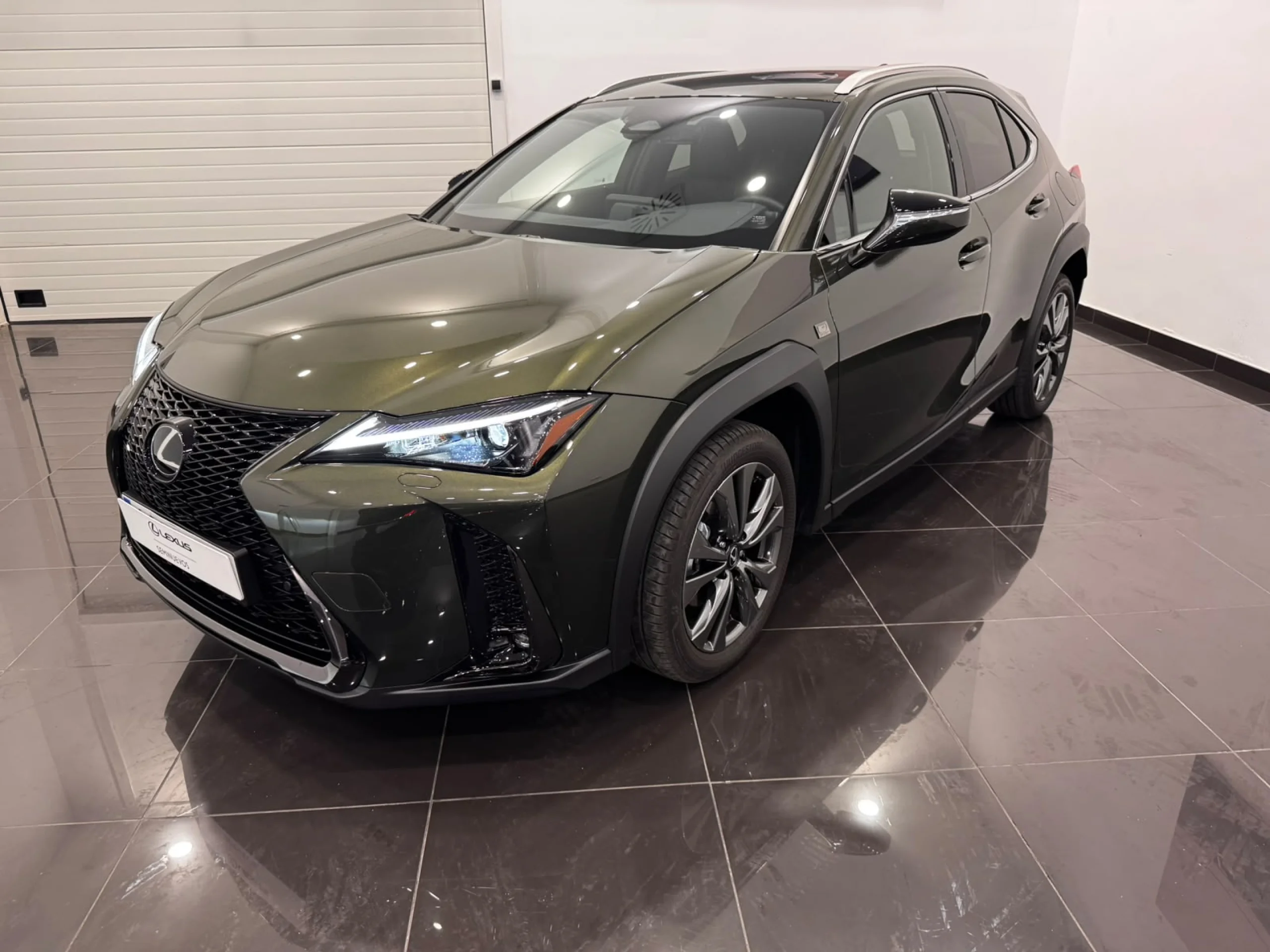 Lexus UX300h F SPORT LEGEND - Foto 1