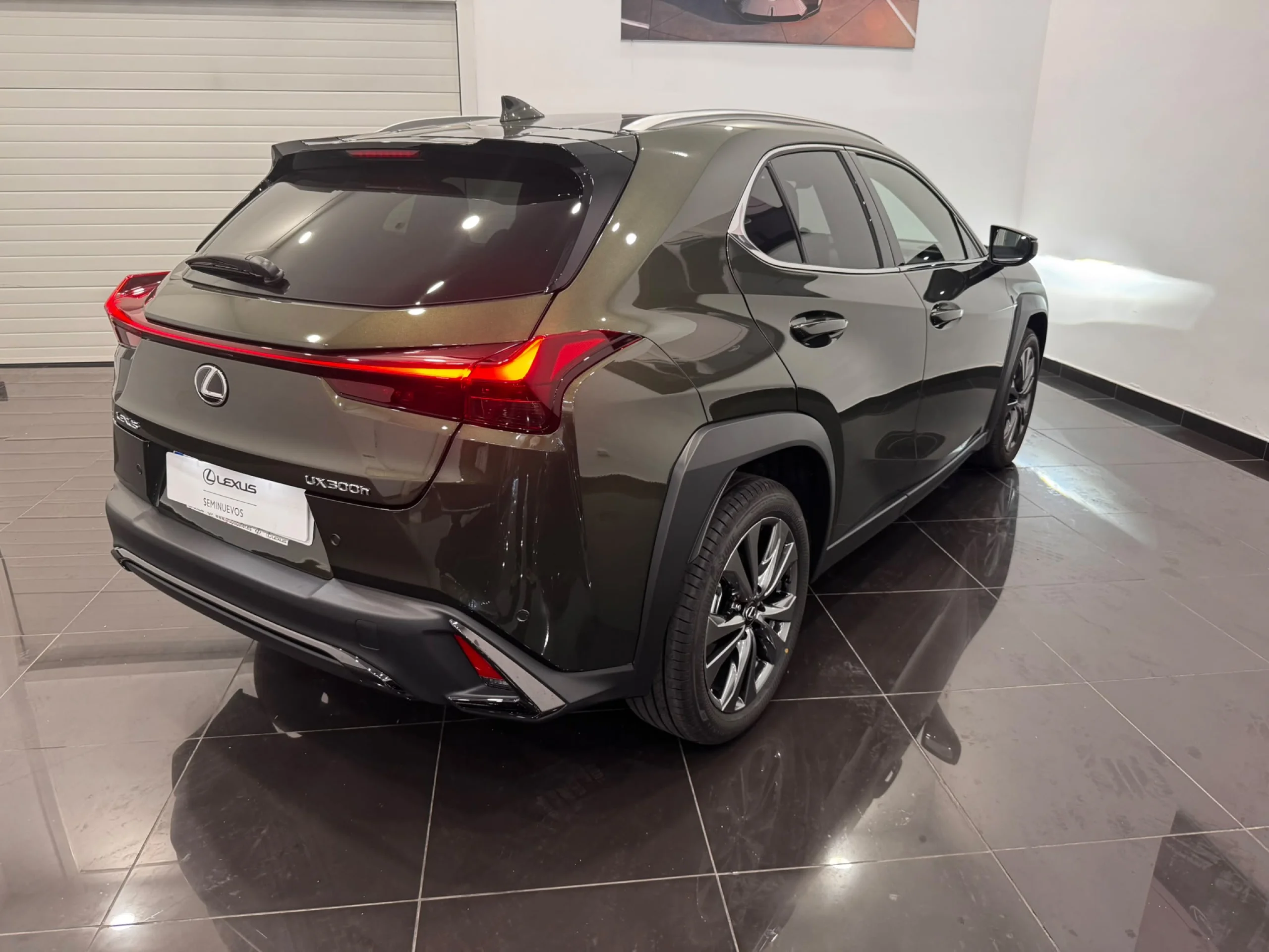 Lexus UX300h F SPORT LEGEND - Foto 3