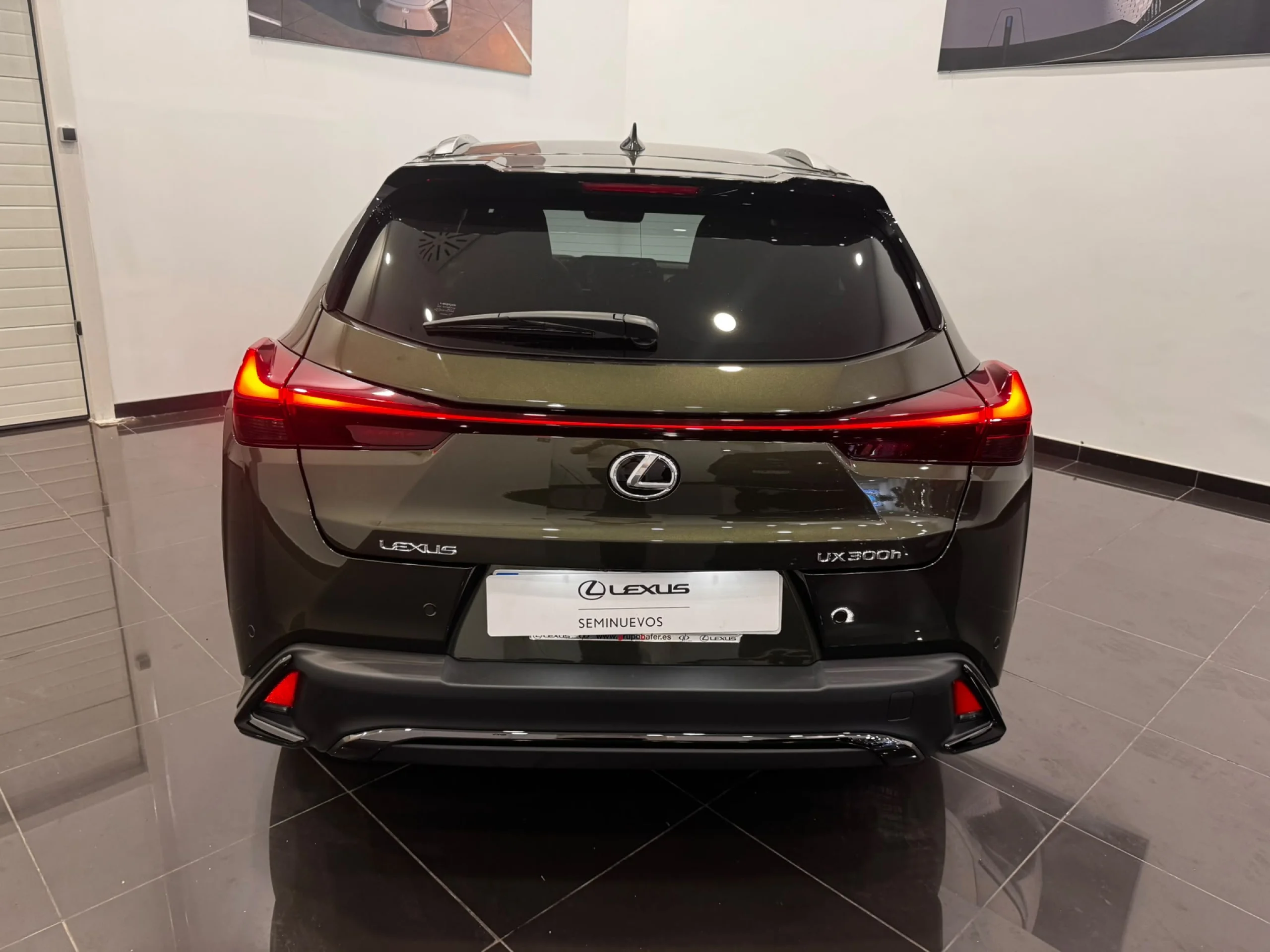Lexus UX300h F SPORT LEGEND - Foto 4
