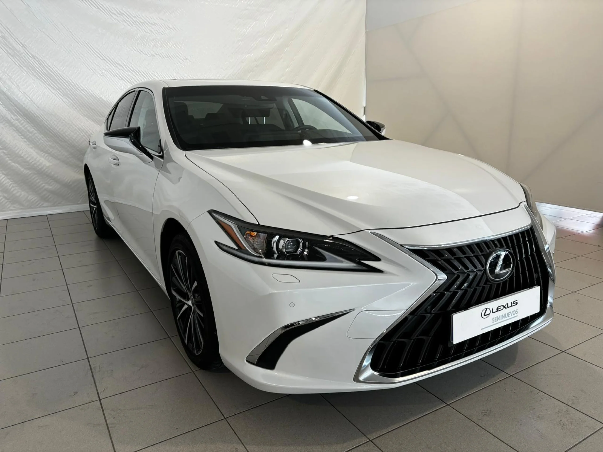 Lexus ES 300h PREMIUM - Foto 8