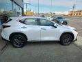 Thumbnail 13 del Lexus NX 350h NX350H PREMIUM PLUS